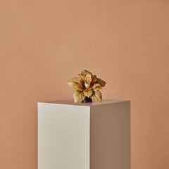 Painted Flower Lights