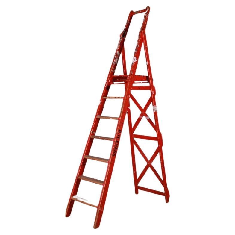 Painted Library Ladder For Sale