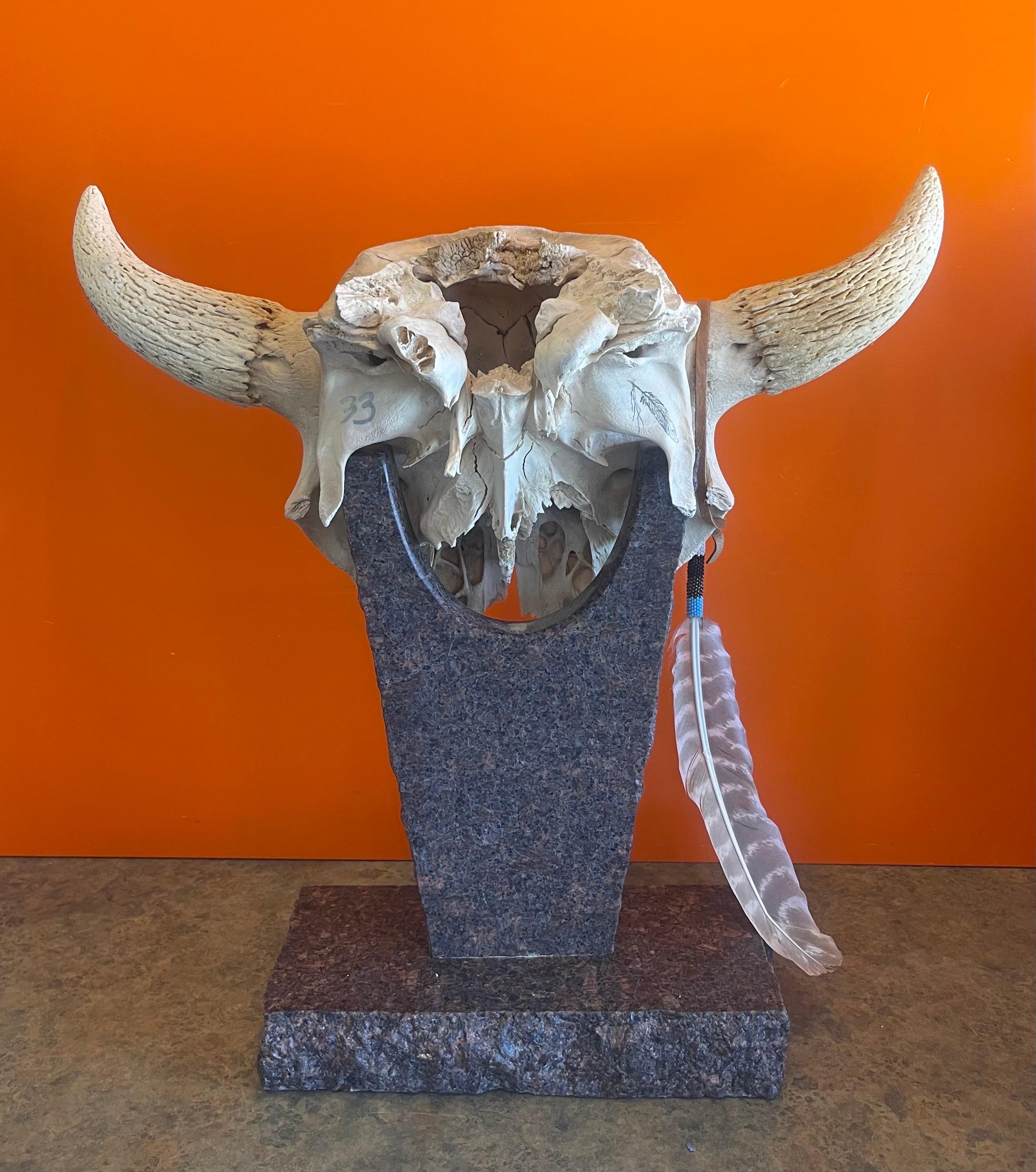 Painted North American Steer Skull with Horns on Granite Base by Tim Yanke For Sale 5