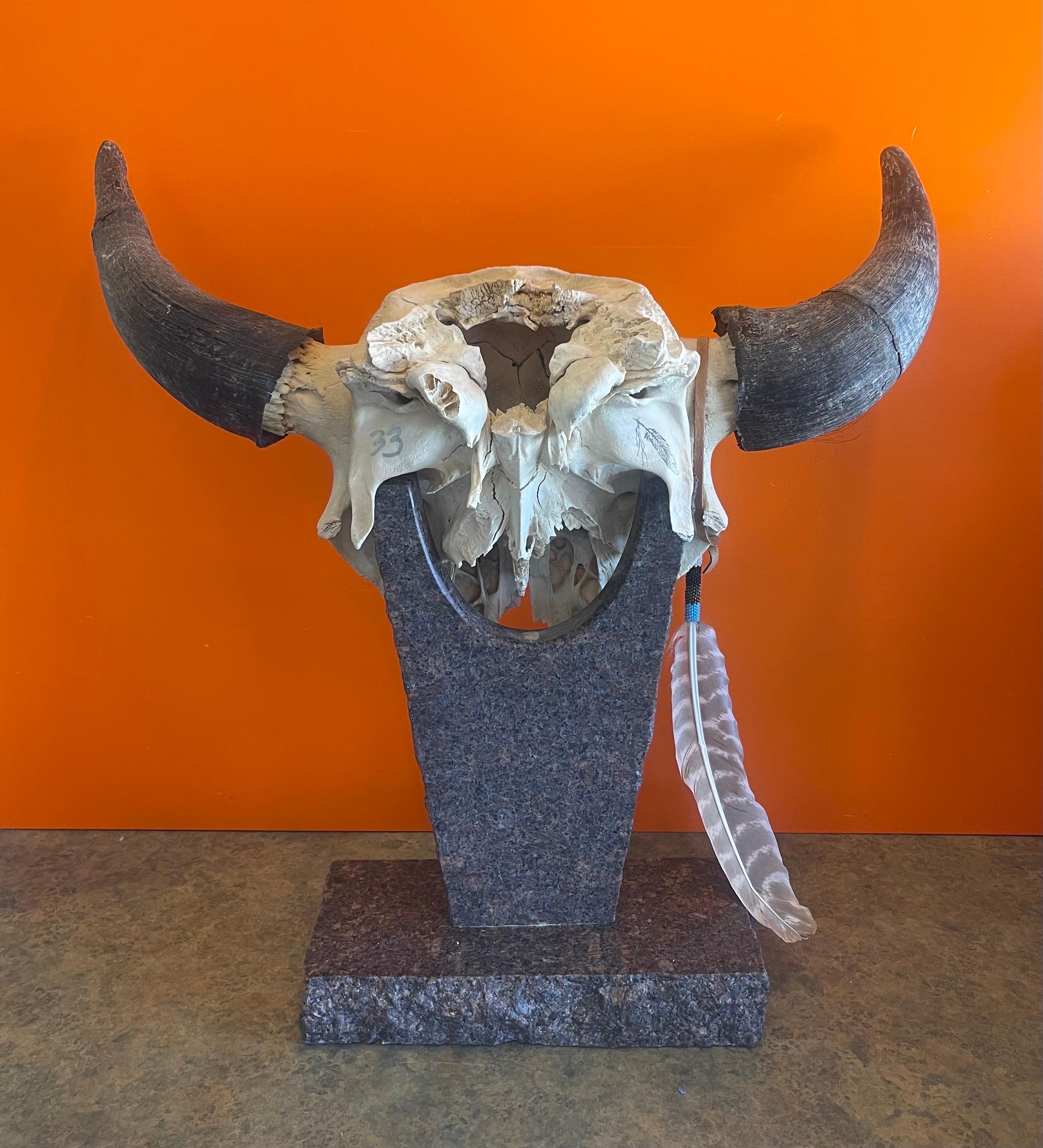 Contemporary Painted North American Steer Skull with Horns on Granite Base by Tim Yanke For Sale