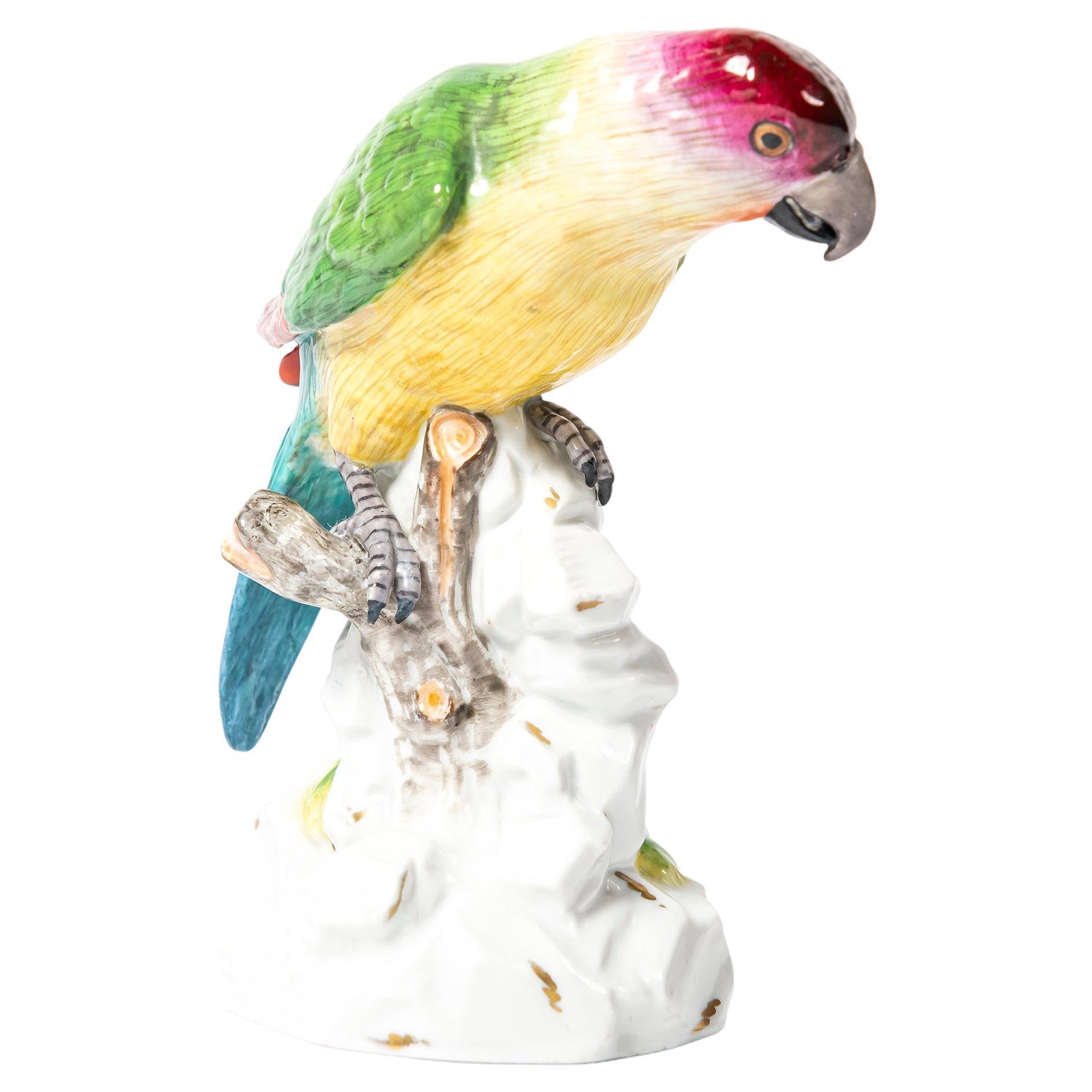 Painted Porcelain Parrot by Volkstedt, Germany, Early 20th Century For Sale