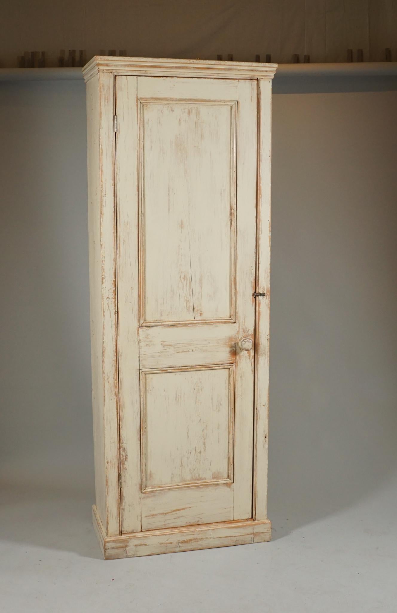 Wood Painted Tall Cupboard