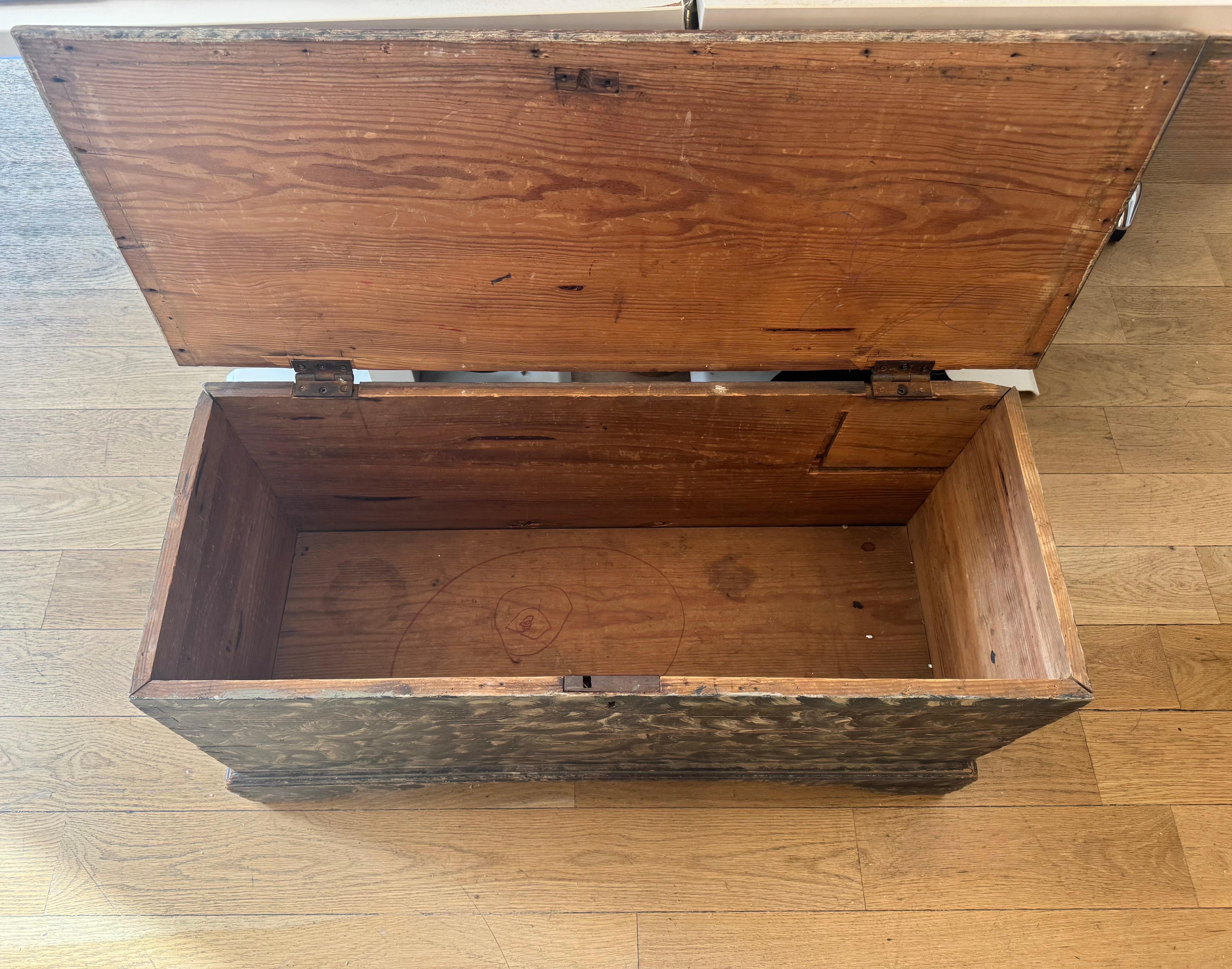 Painted Trunk with Leaf Motif For Sale 1