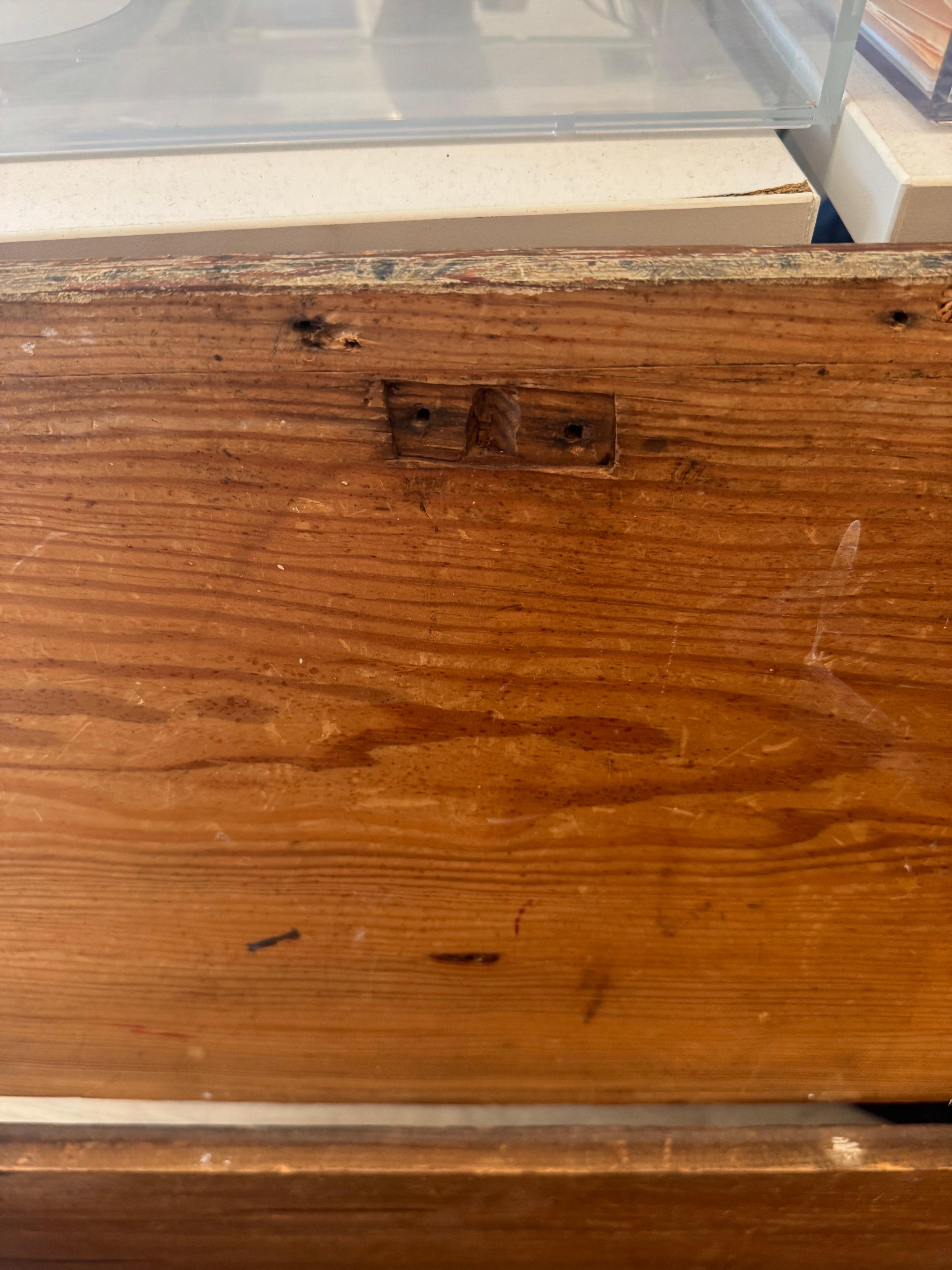 Painted Trunk with Leaf Motif For Sale 3