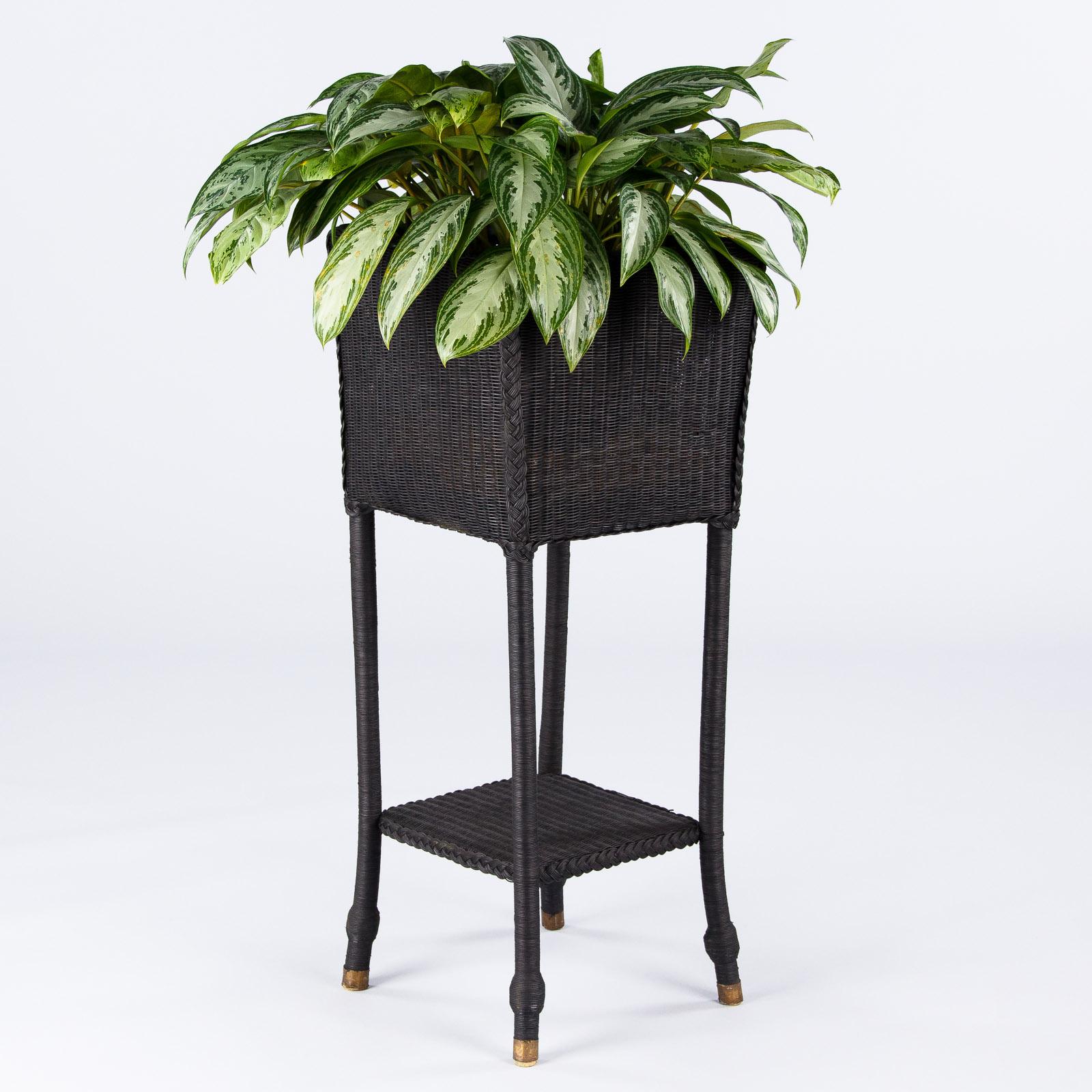 Country French Painted Black Wicker Jardinière, 1940s