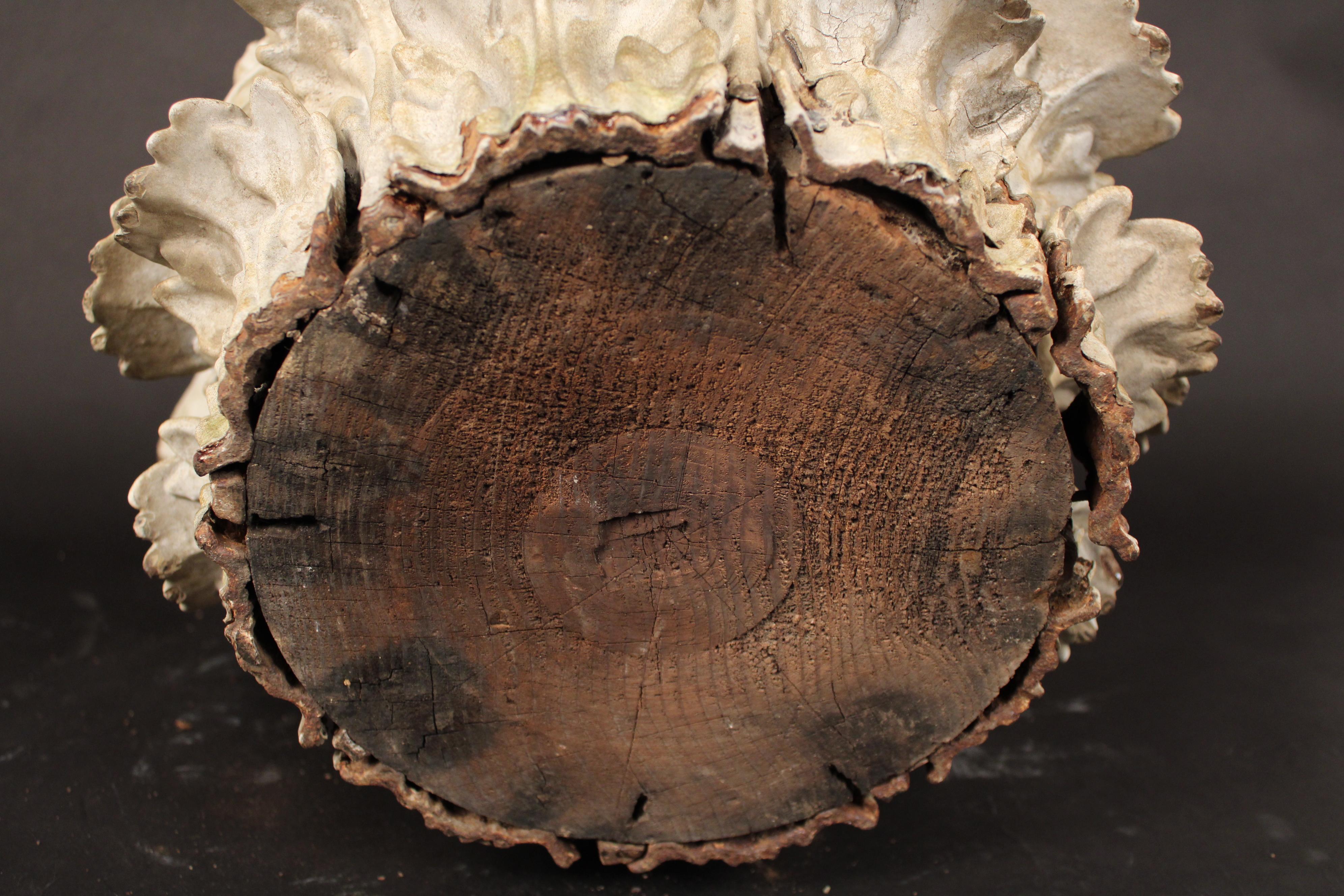 Fragmento arquitectónico de madera pintada y hierro en venta 2