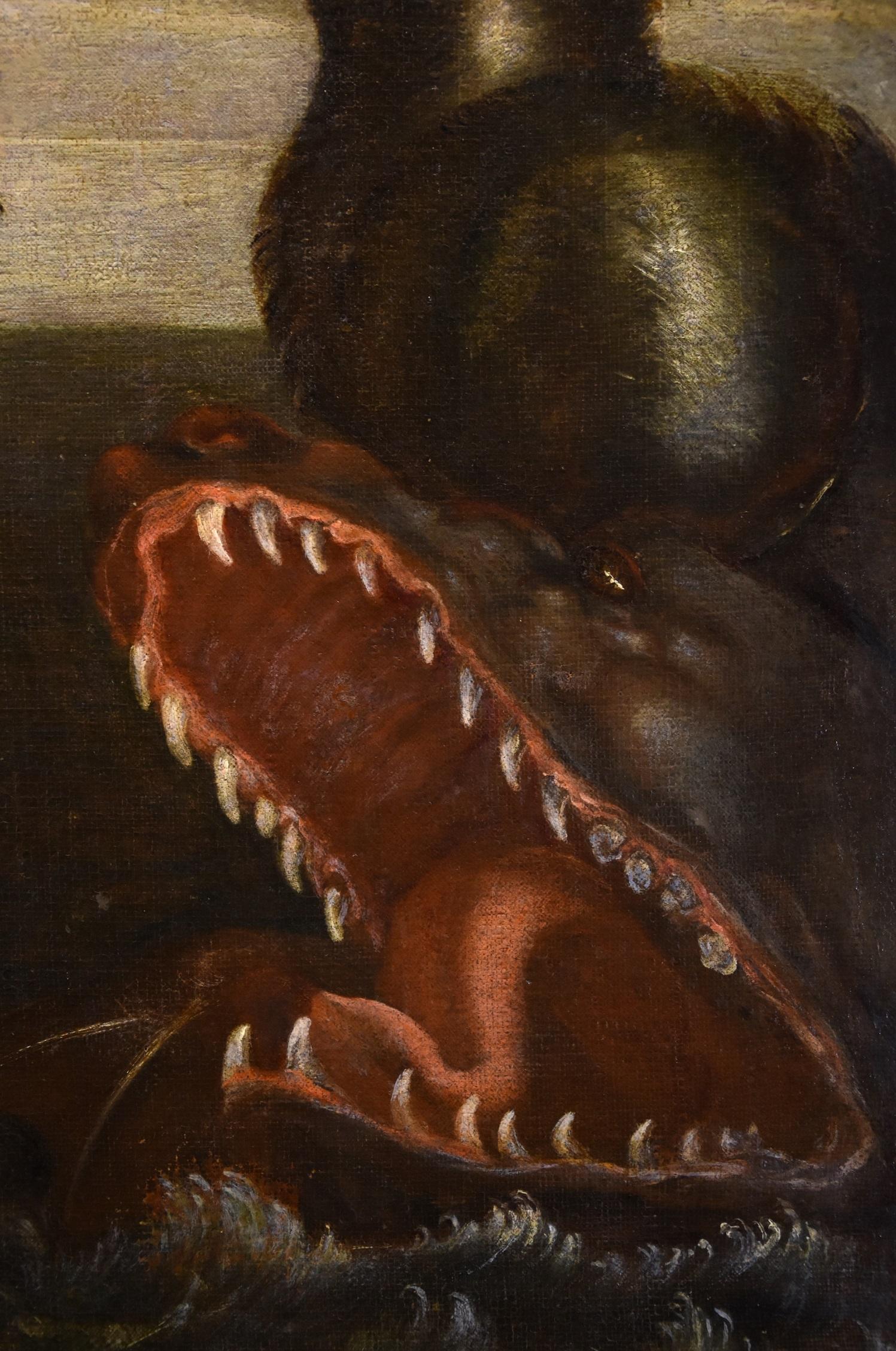 Andromeda Monster, Gemälde, Öl auf Leinwand, Alter Meister, römische Schule, 16./17. Jahrhundert im Angebot 8