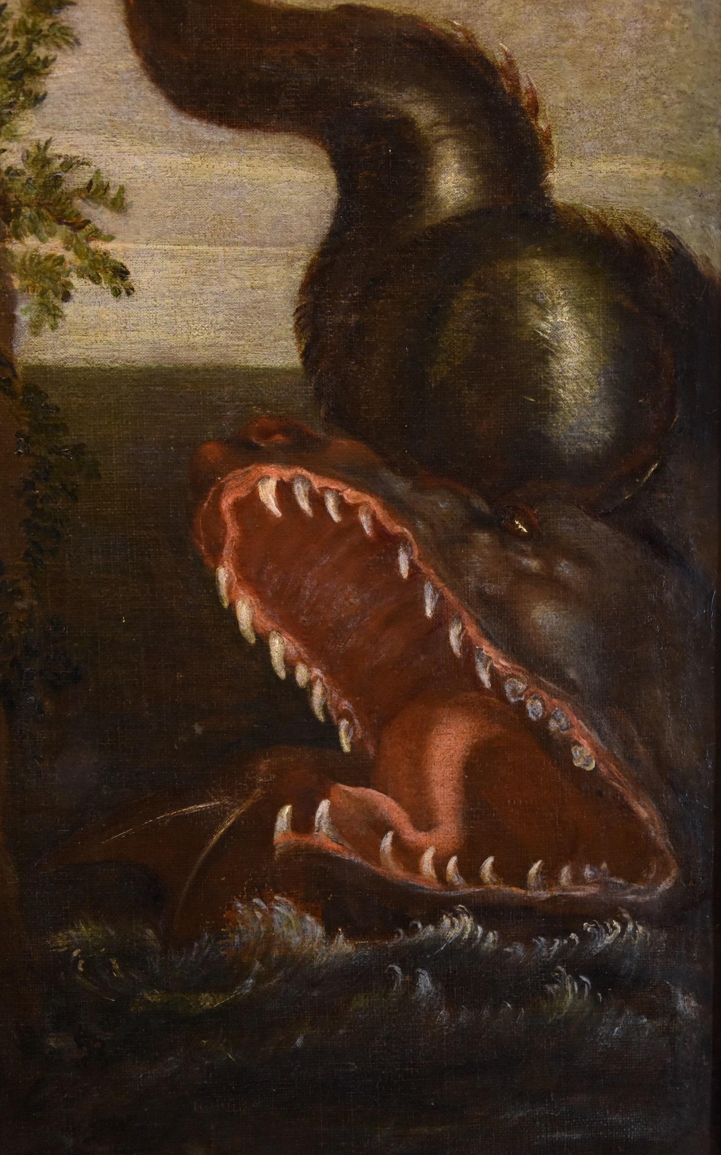 Andromeda Monster Paint Oil on canvas Old master 16/17th Century Roman school For Sale 6