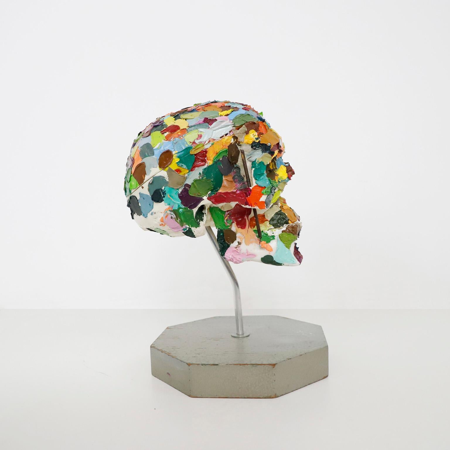 Offriamo questo teschio anatomico di pittore, circa 1970. Questo teschio è stato acquistato dallo studio di un pittore e dipinto con colori a olio.