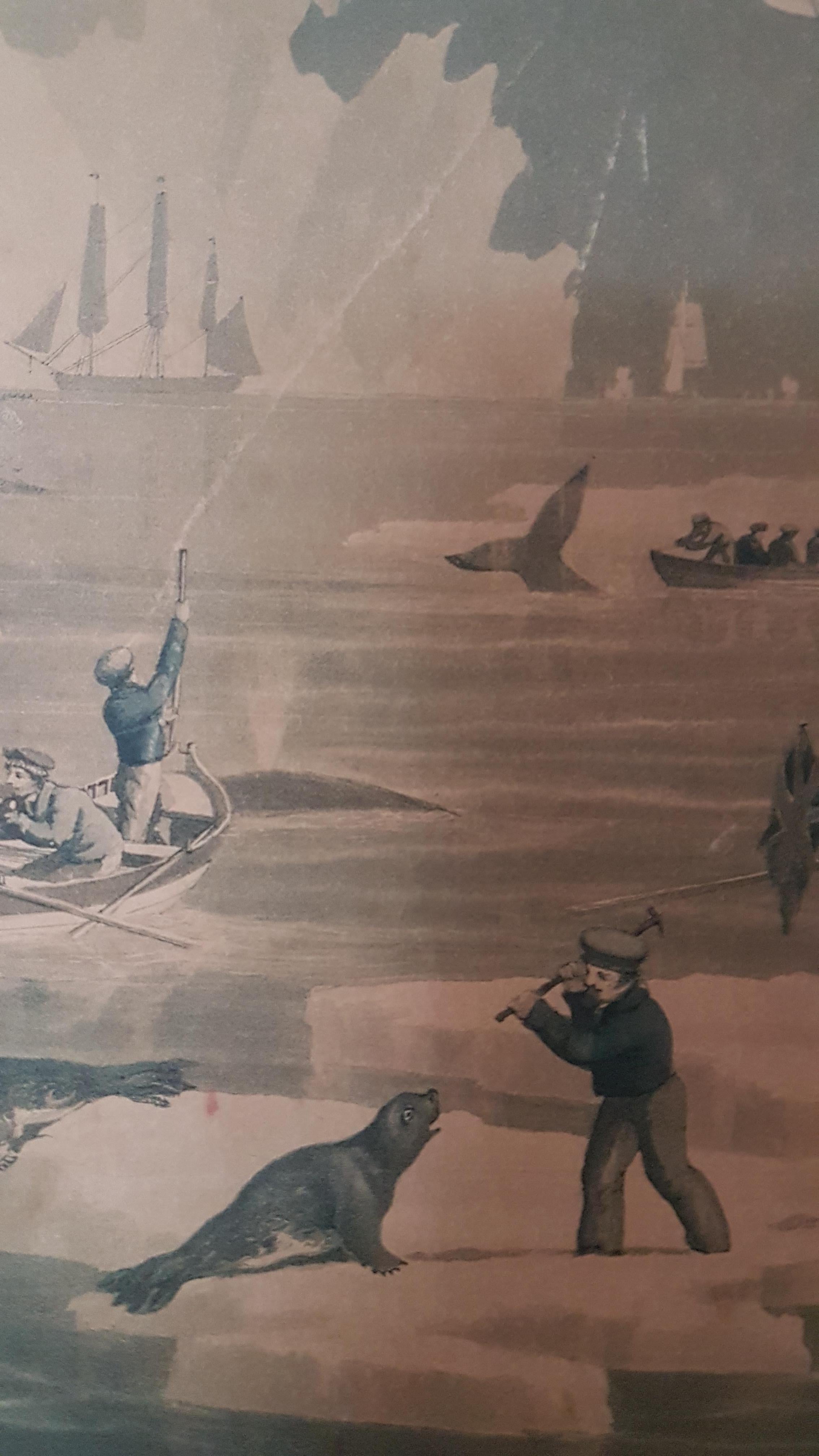Painting Engraving by W.J.Huggins, Northern Whale Fishery, 1829 4