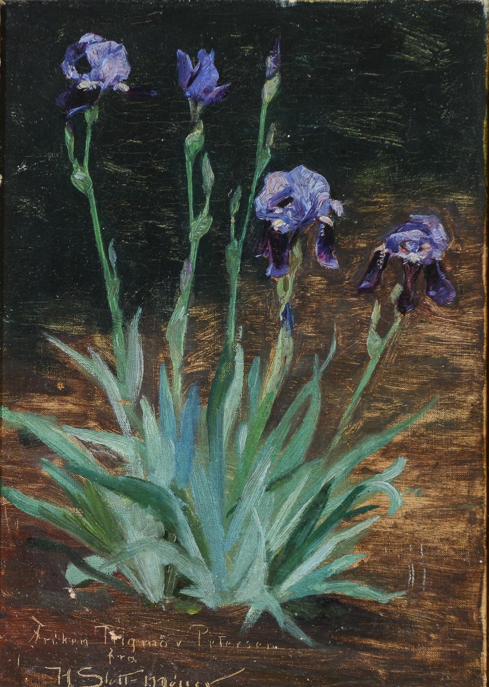Other Painting Harald Slott-møller, Blue Iris