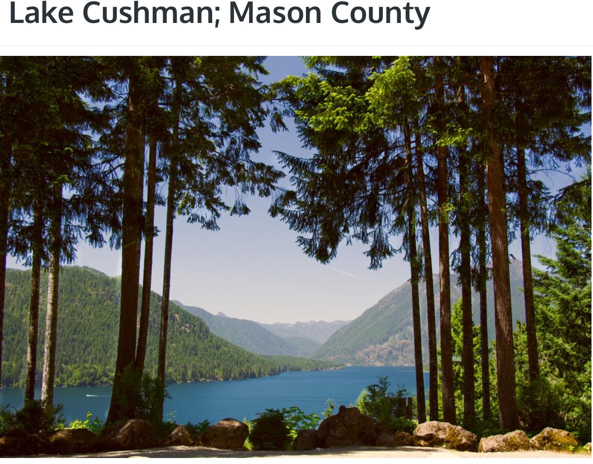 Painting Lake Cushman, Mason County In Fair Condition For Sale In Lyngby, DK