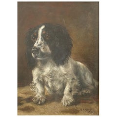 Painting of a Spaniel by Hugh Blyth Millar, Dated 1912