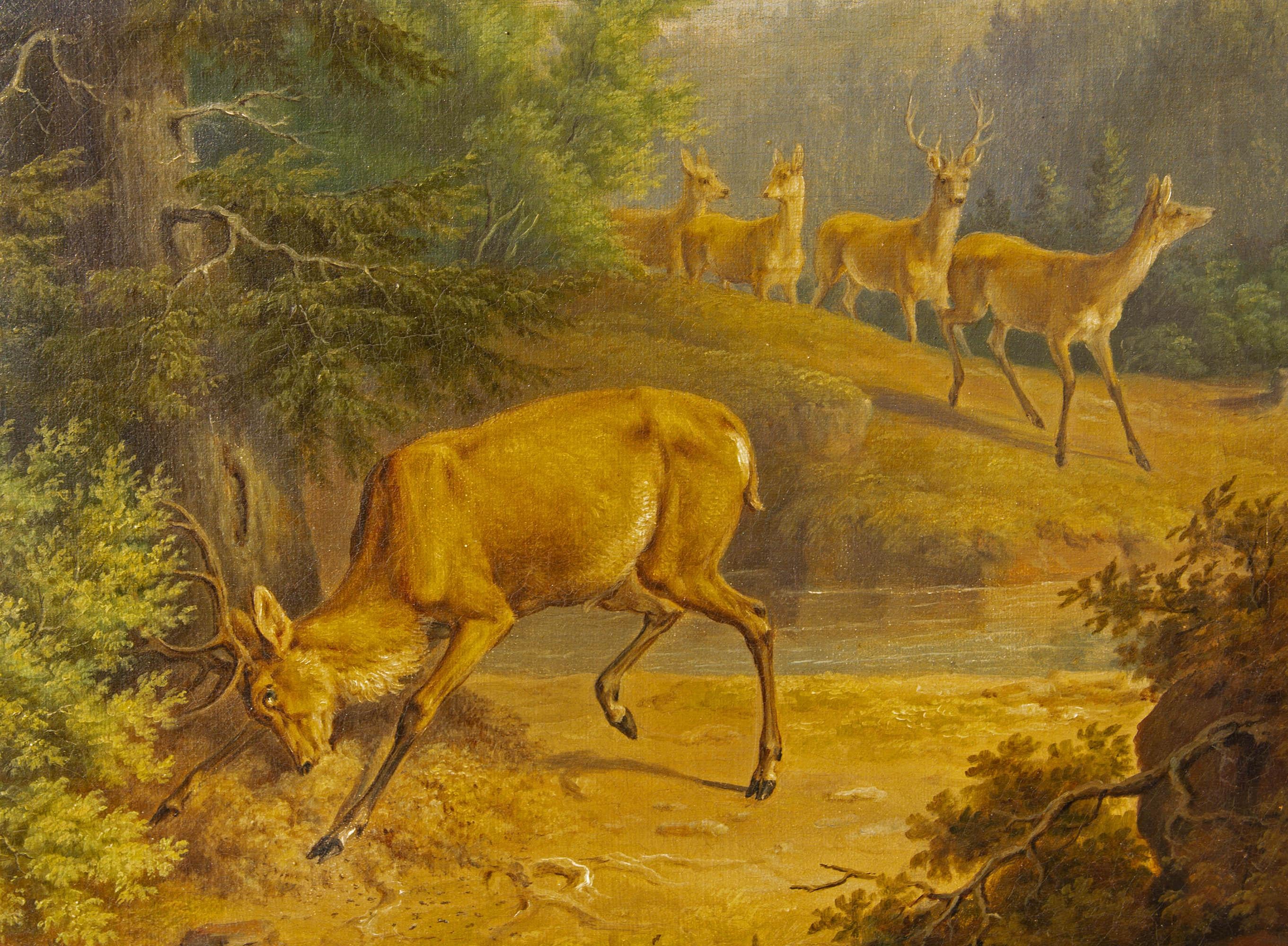 19th century American school painting of a landscape with a stag. Oil on canvas. Unsigned. In the original gilt frame. One of several art works we are selling from a living estate.