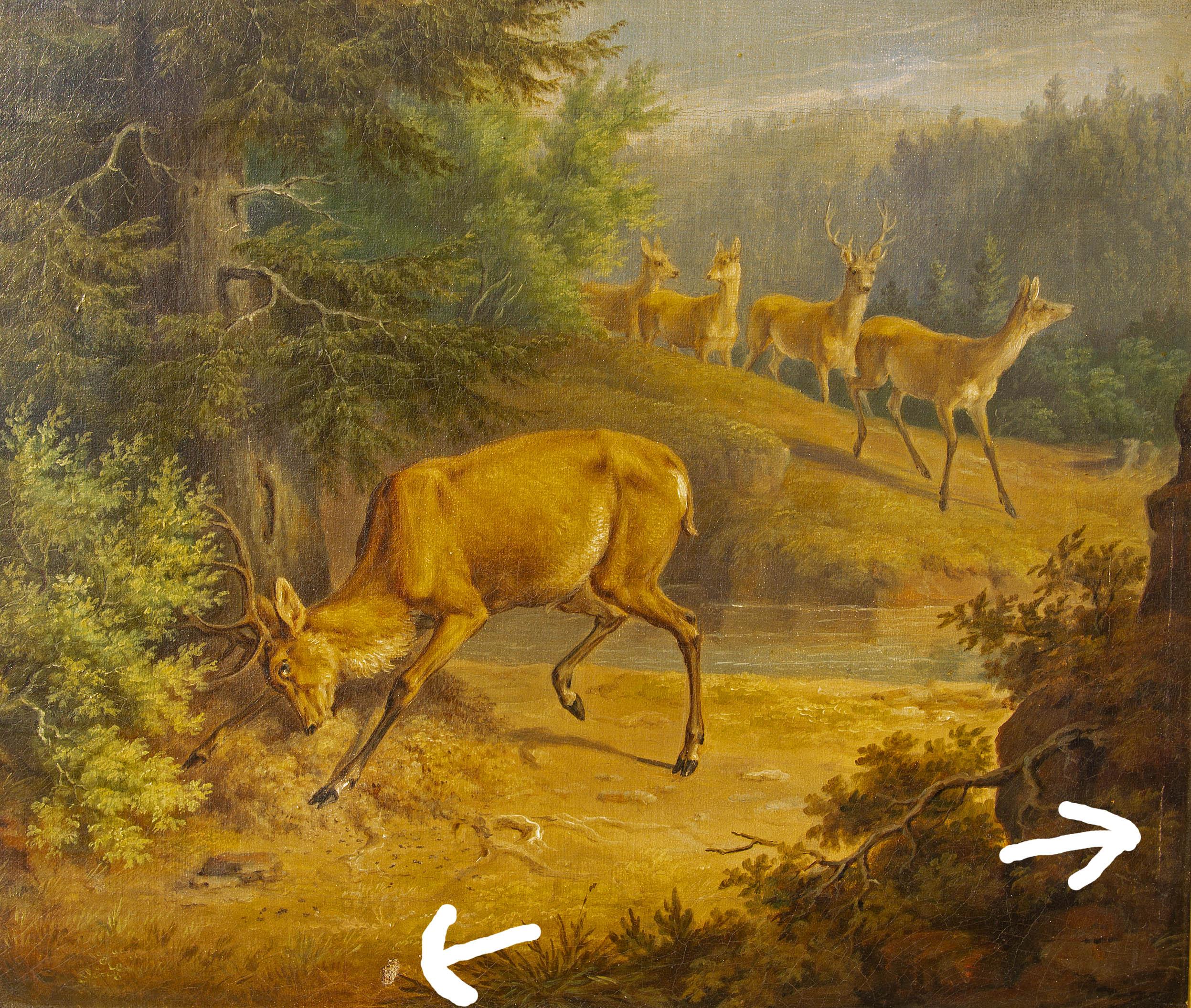 Painting of a Stag 19th Century American School 1
