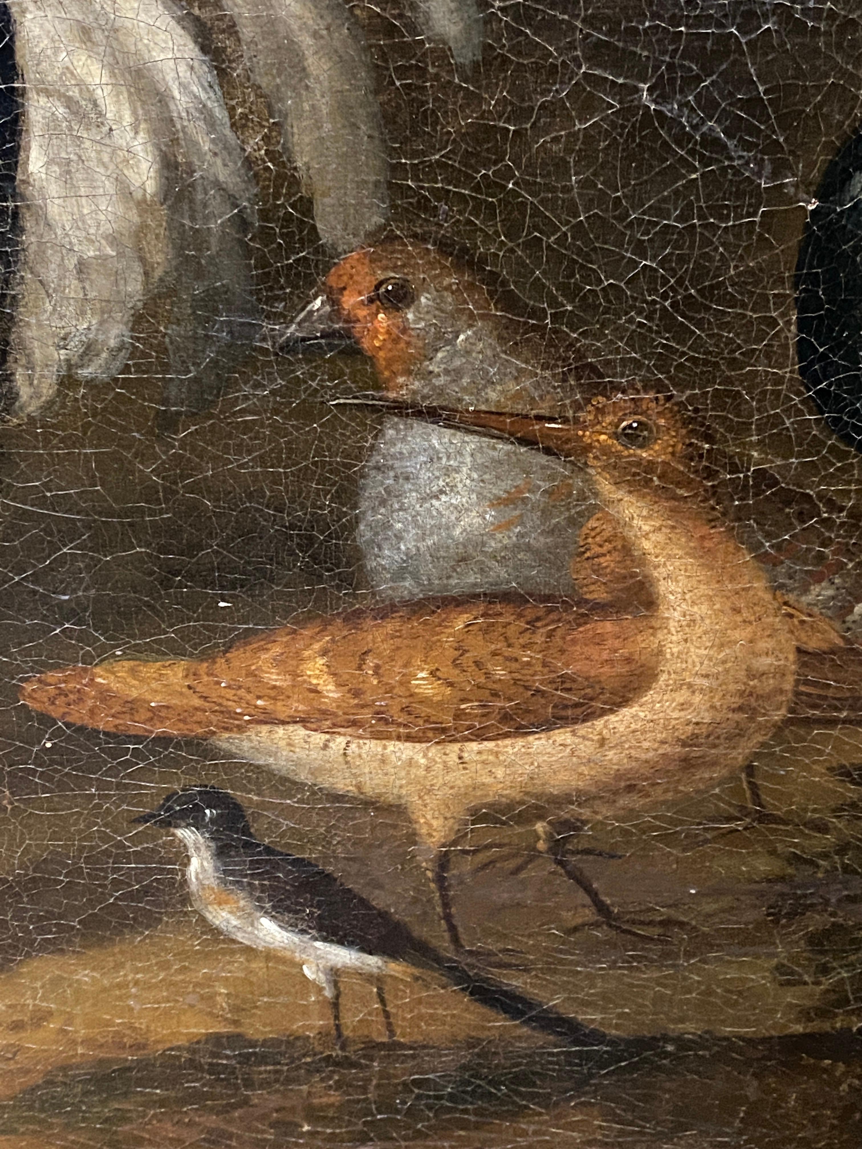 Painting of Birds, Attributed to Marmaduke Craddock For Sale 3