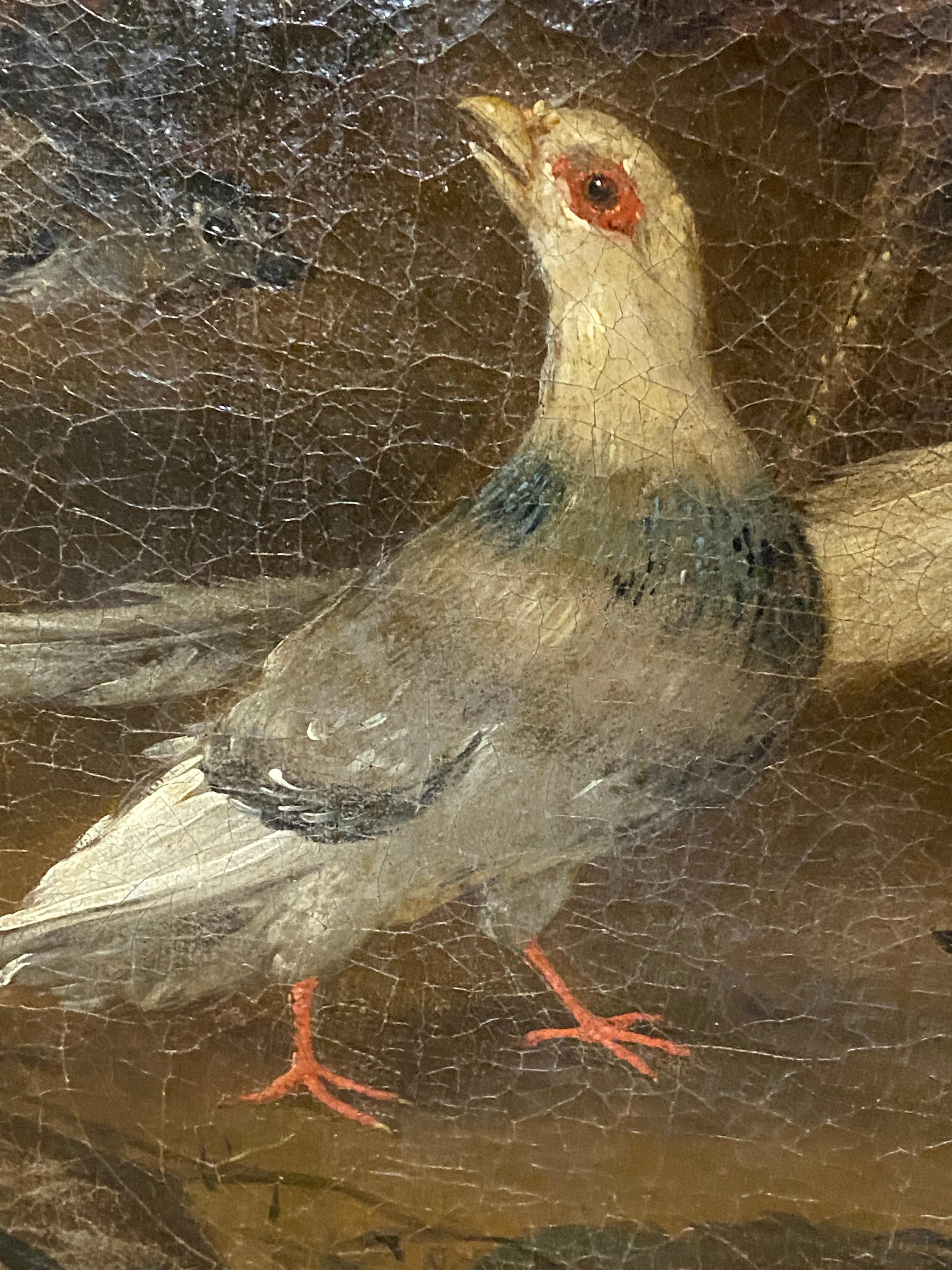 Painted Painting of Birds, Attributed to Marmaduke Craddock For Sale