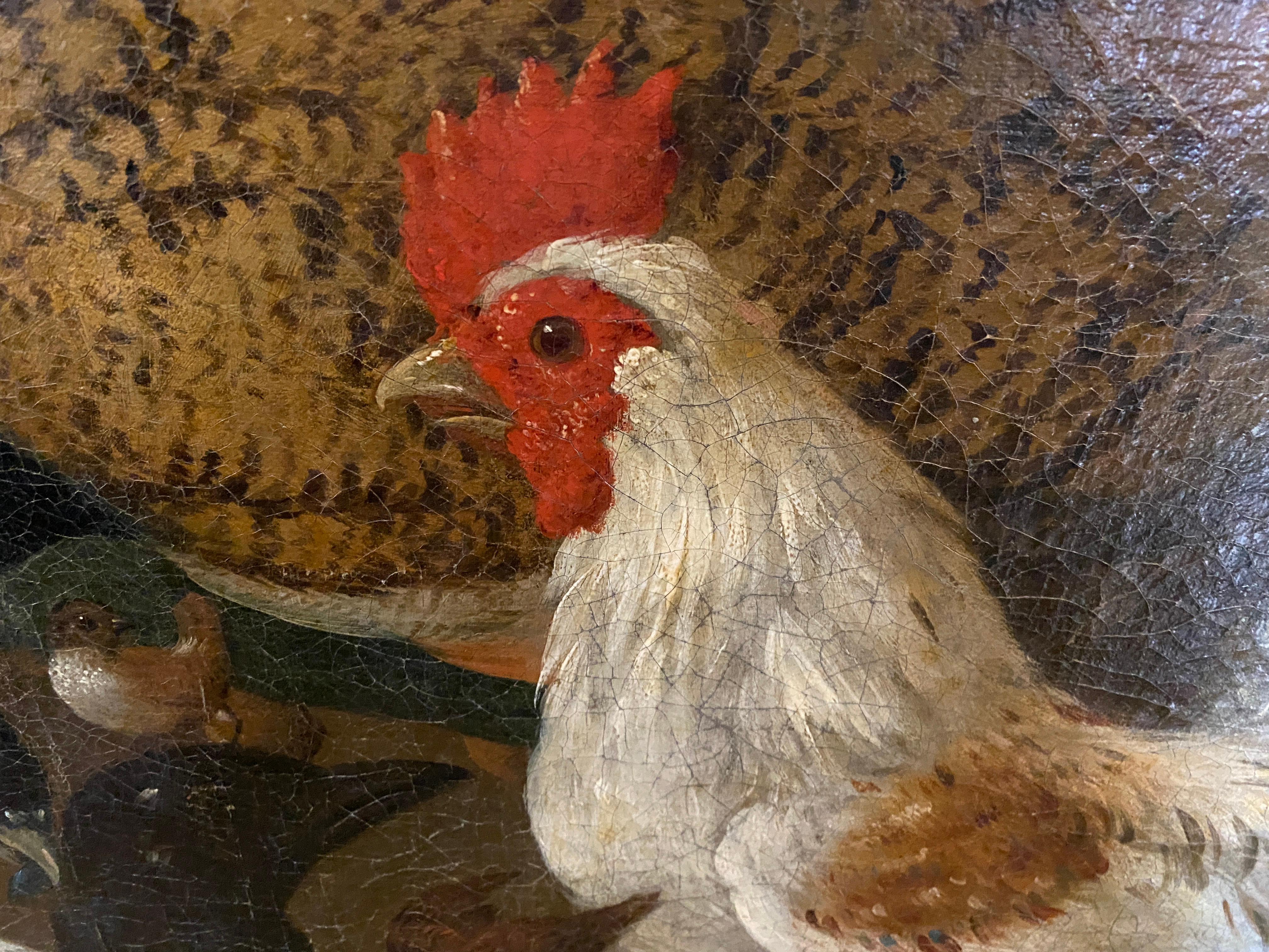18th Century Painting of Birds, Attributed to Marmaduke Craddock For Sale