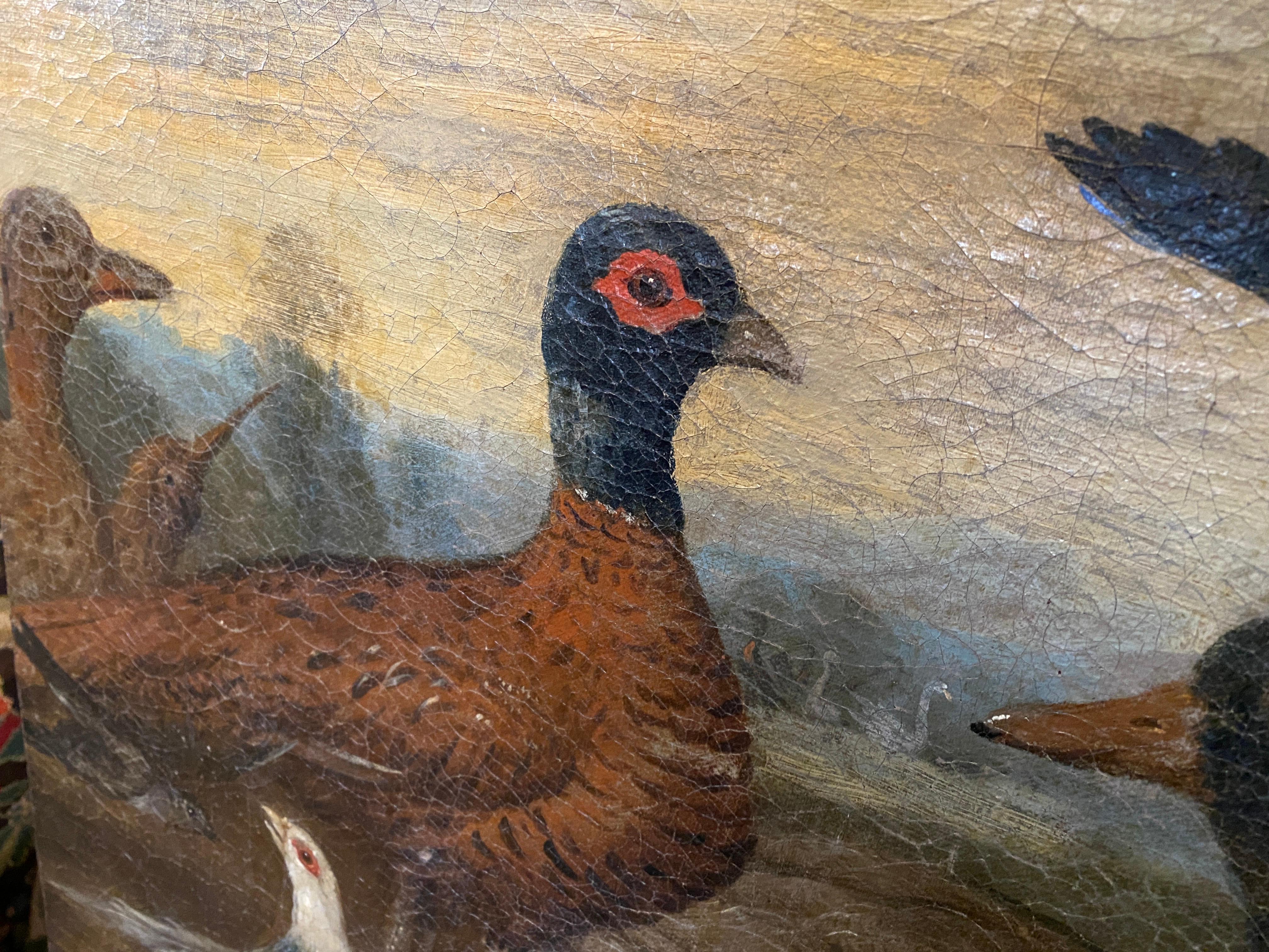 Canvas Painting of Birds, Attributed to Marmaduke Craddock For Sale