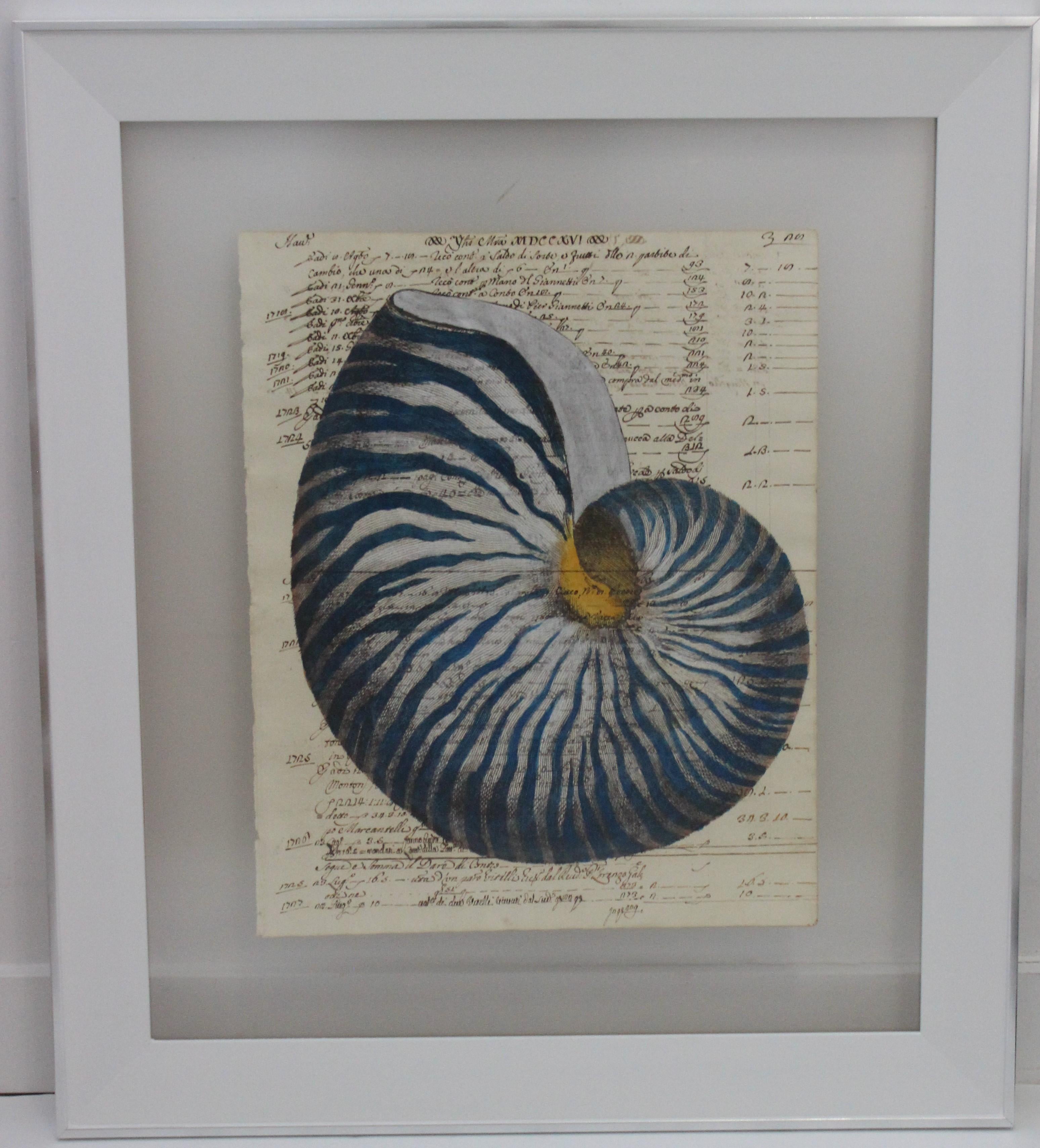 Hand painting of blue nautilus on circa 1719 manuscript paper framed with reversing view
Acquired from a Palm Beach estate.