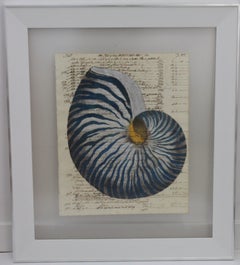 Painting of Blue Nautilus on 18th Century Manuscript Paper