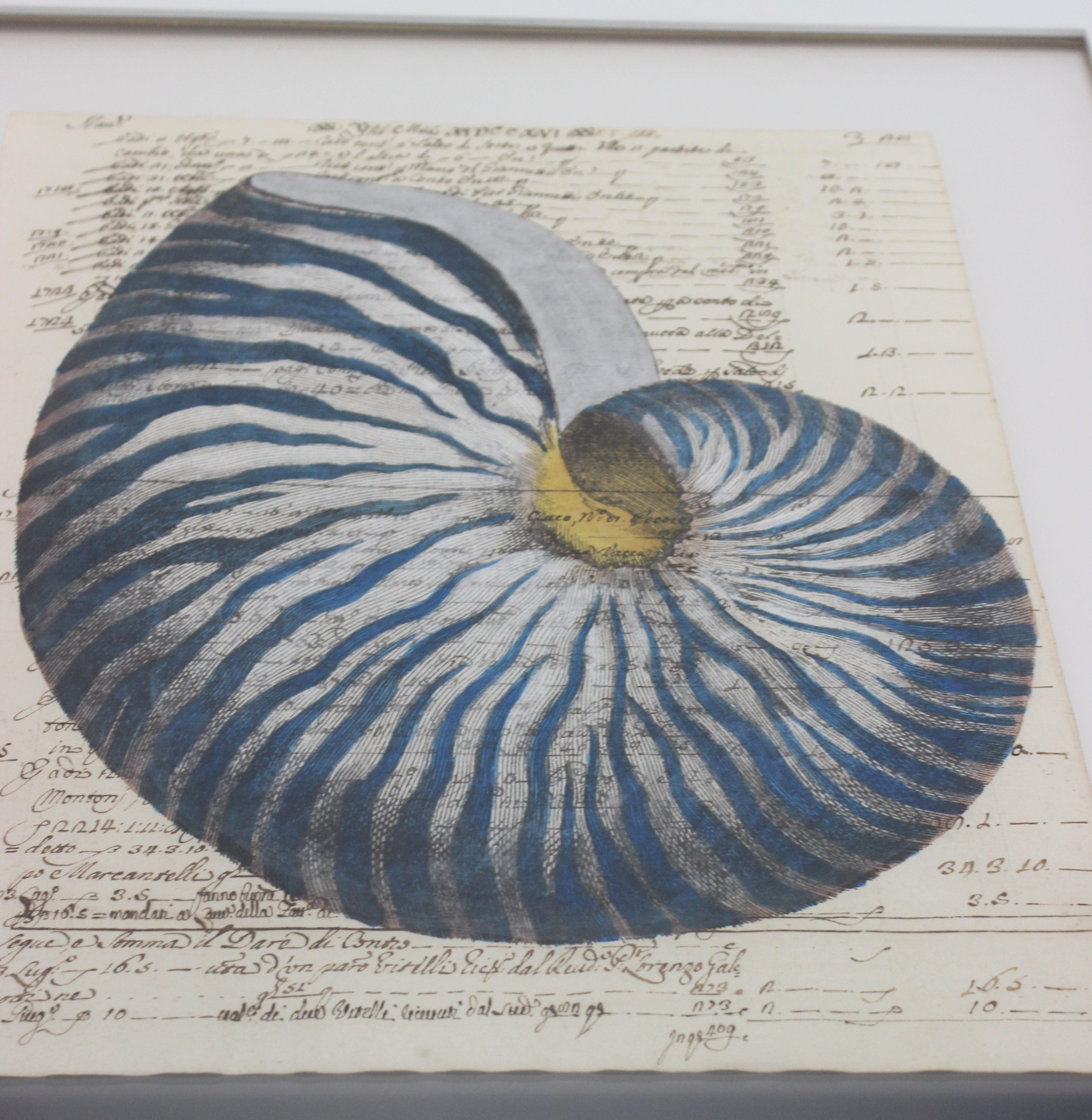 Romantic Painting of Blue Nautilus on 18th Century Manuscript Paper For Sale