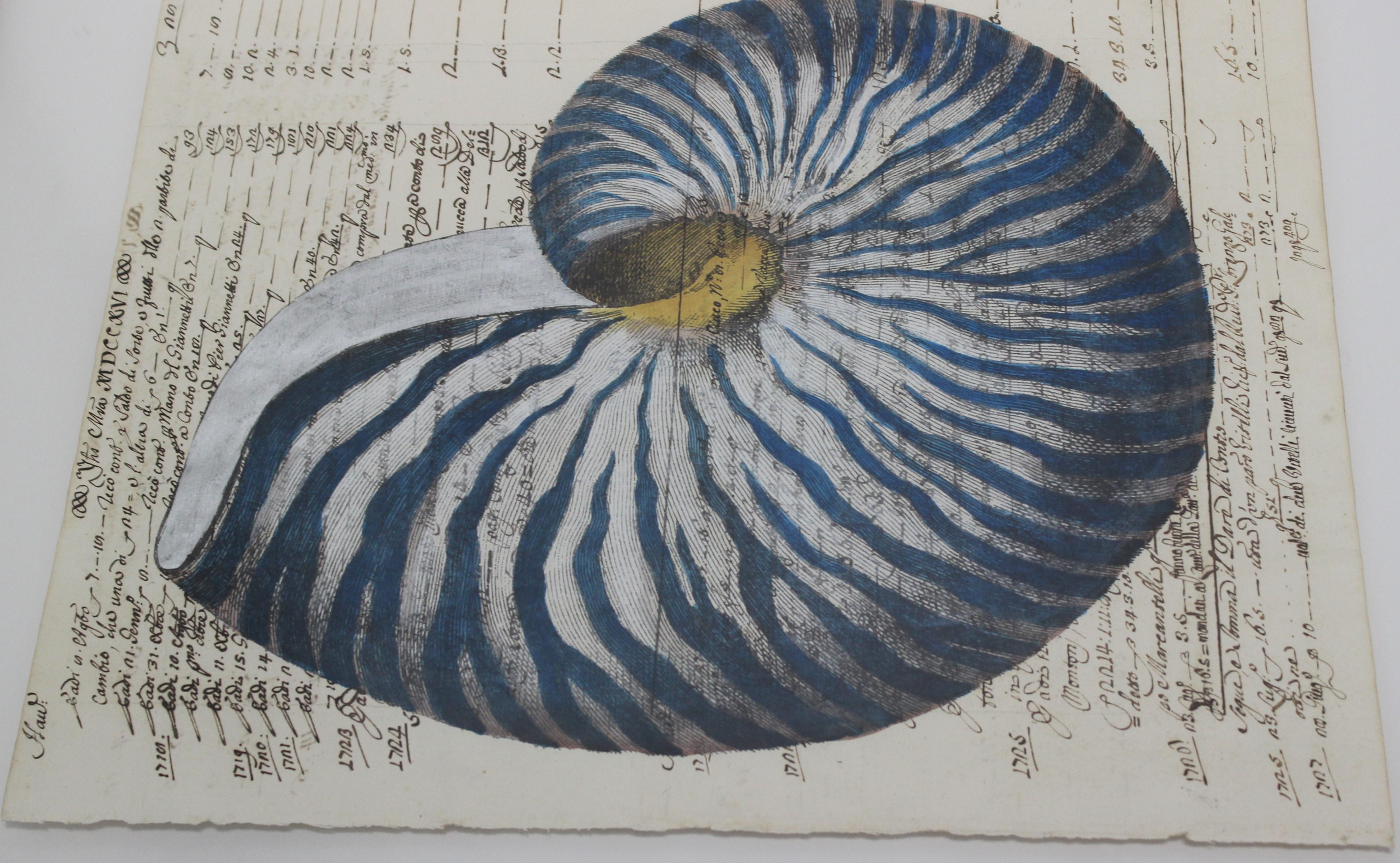 Painting of Blue Nautilus on 18th Century Manuscript Paper In Good Condition For Sale In West Palm Beach, FL