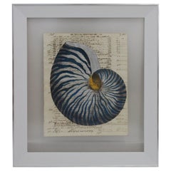 Antique Painting of Blue Nautilus on 18th Century Manuscript Paper