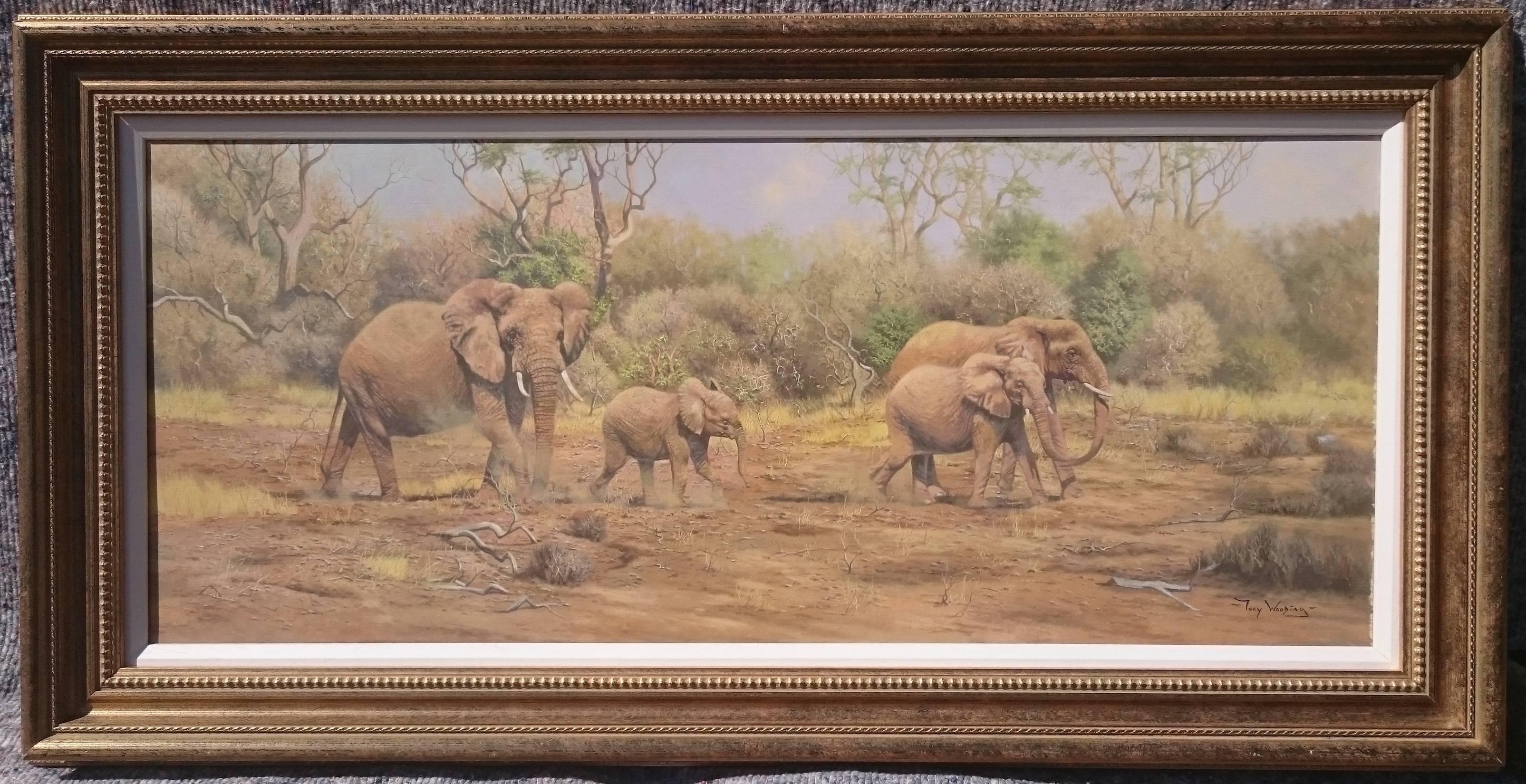 Painting of elephants in an African landscape signed by the artist. Tony Wooding was born in 1969 and is largely self taught painted of wildlife and Welsh landscapes. His work is exhibited widely and his African scenes are sought after.

Measure: