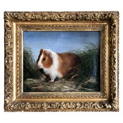 Painting of Guinea Pig, in a Rare Giltwood Frame, 19th Century, French