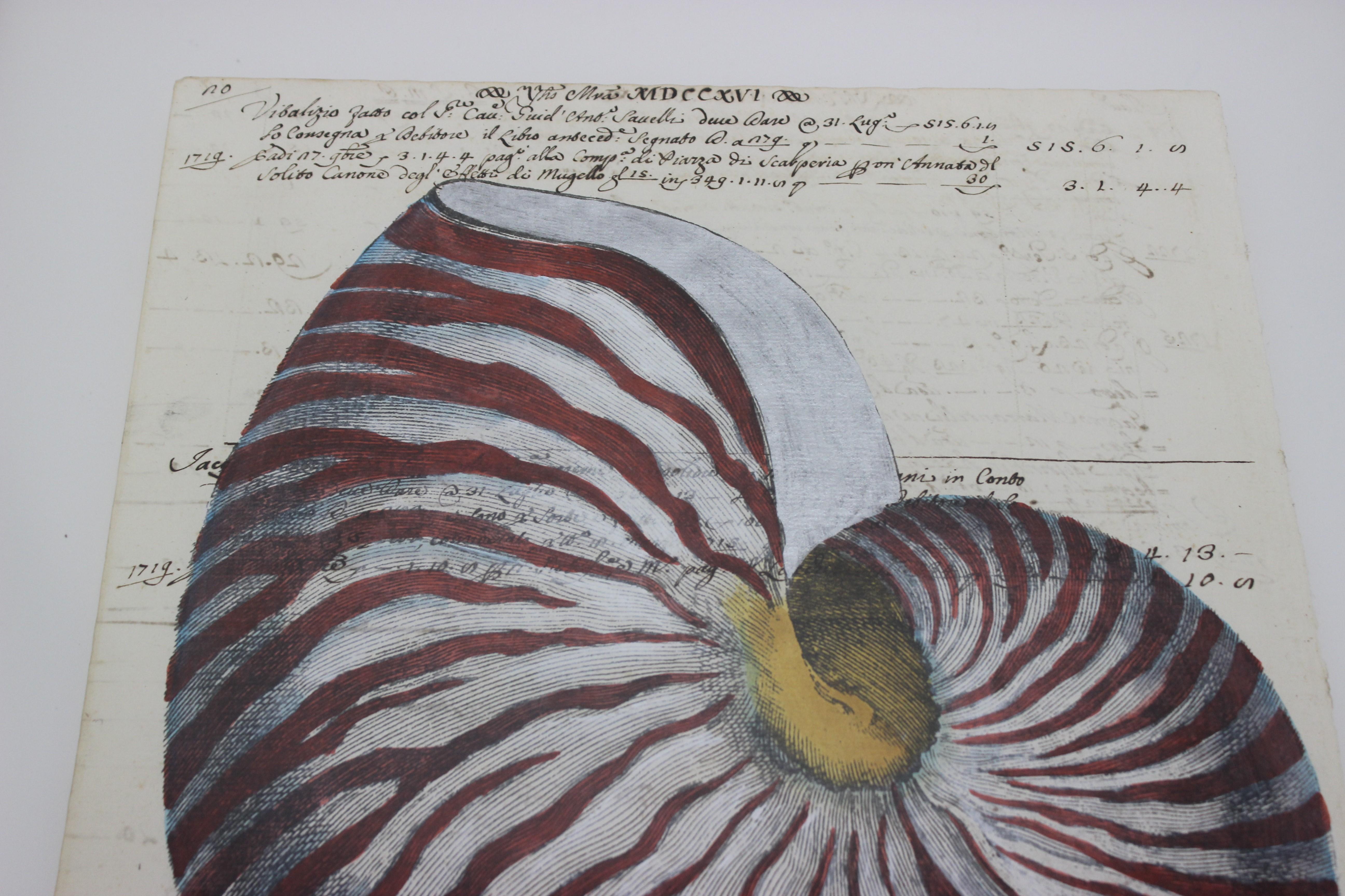 American Painting of Red Nautilus on Manuscript Paper For Sale