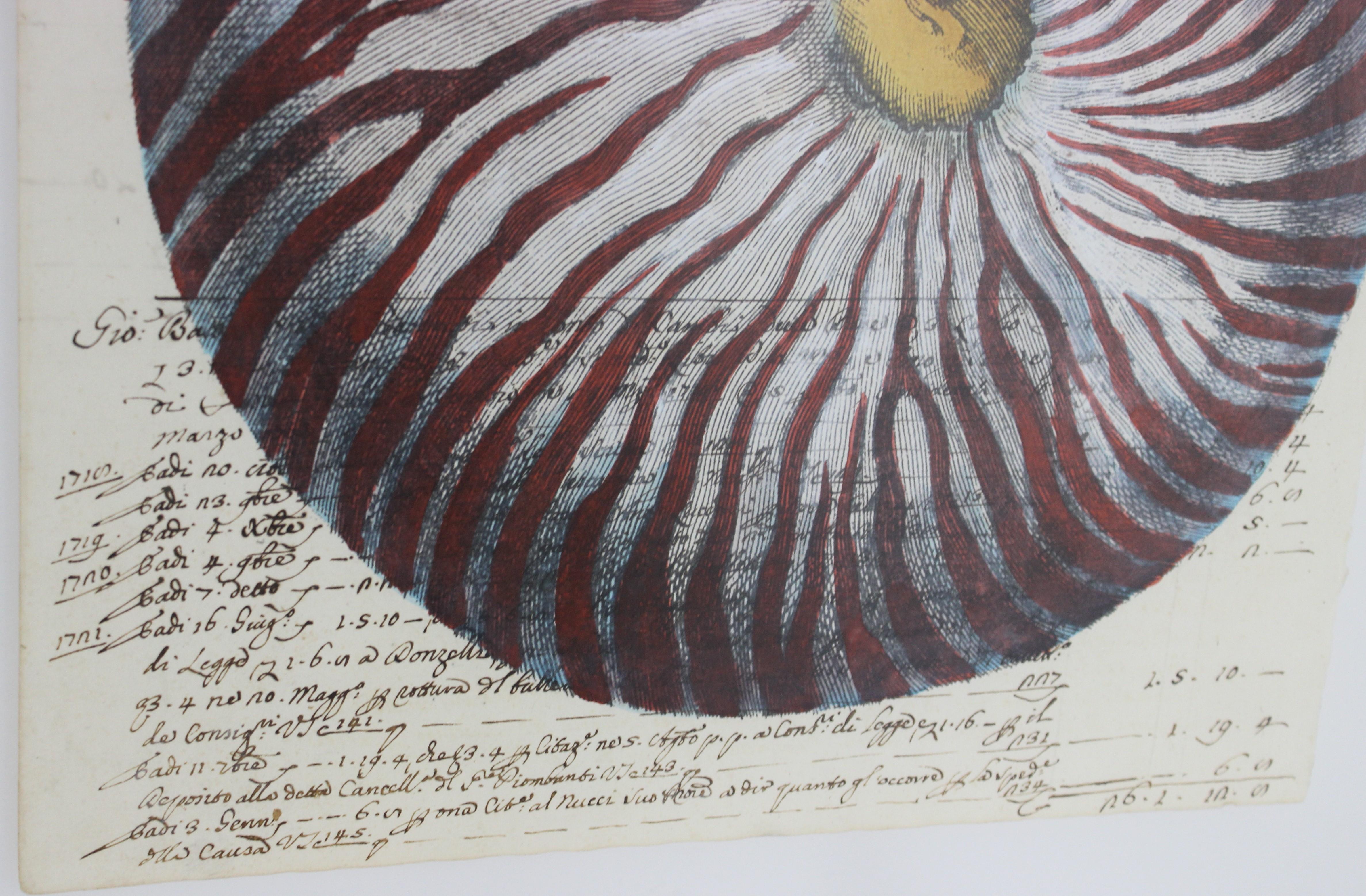 Painting of Red Nautilus on Manuscript Paper For Sale 1