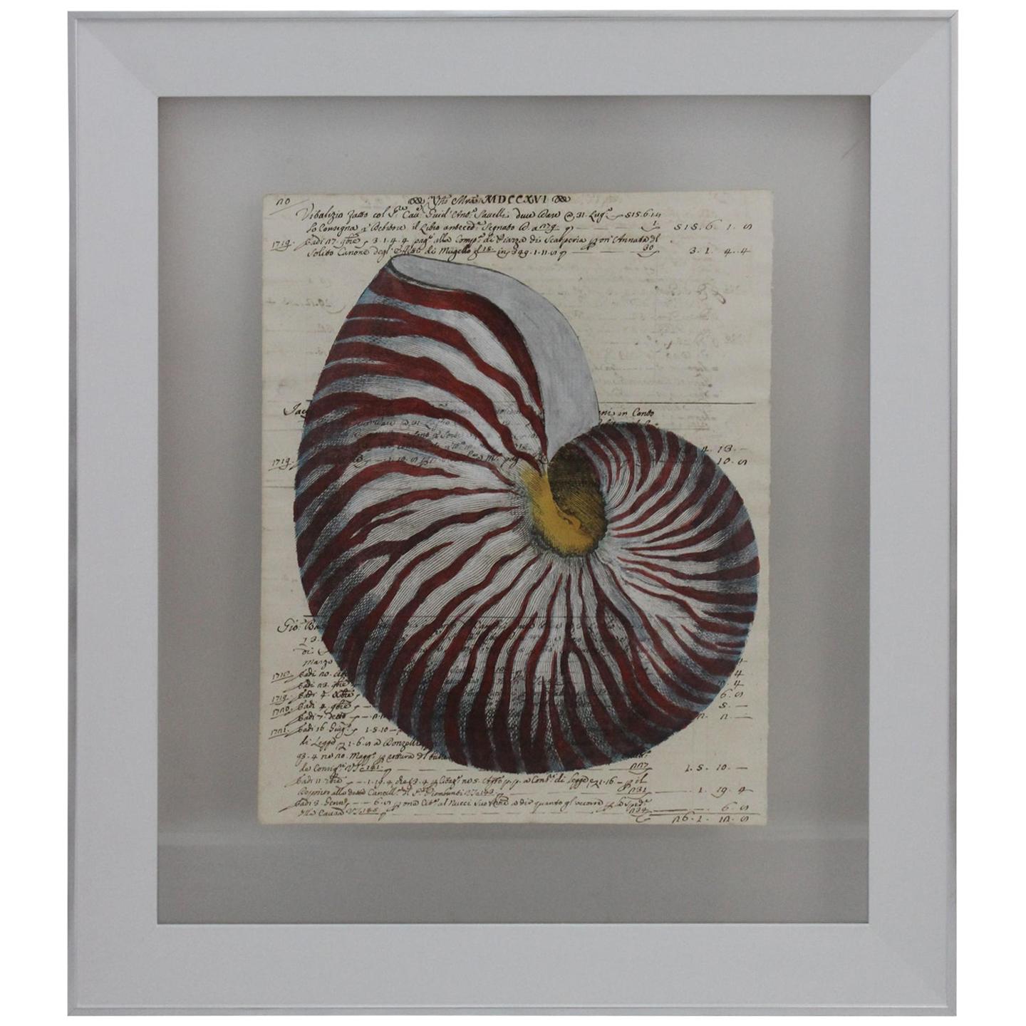 Painting of Red Nautilus on Manuscript Paper For Sale