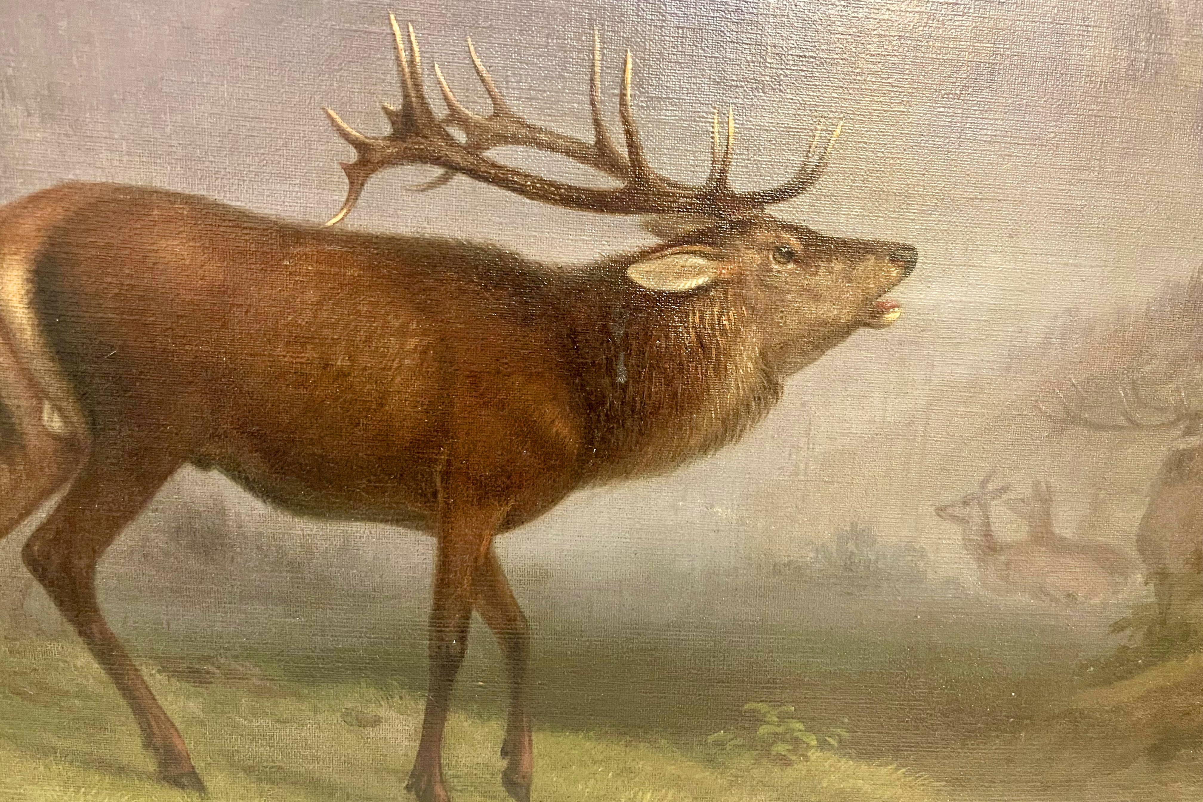 Painting oil on canvas with wild stags. By Johann Frankenberger, Germany 1840.  For Sale 2