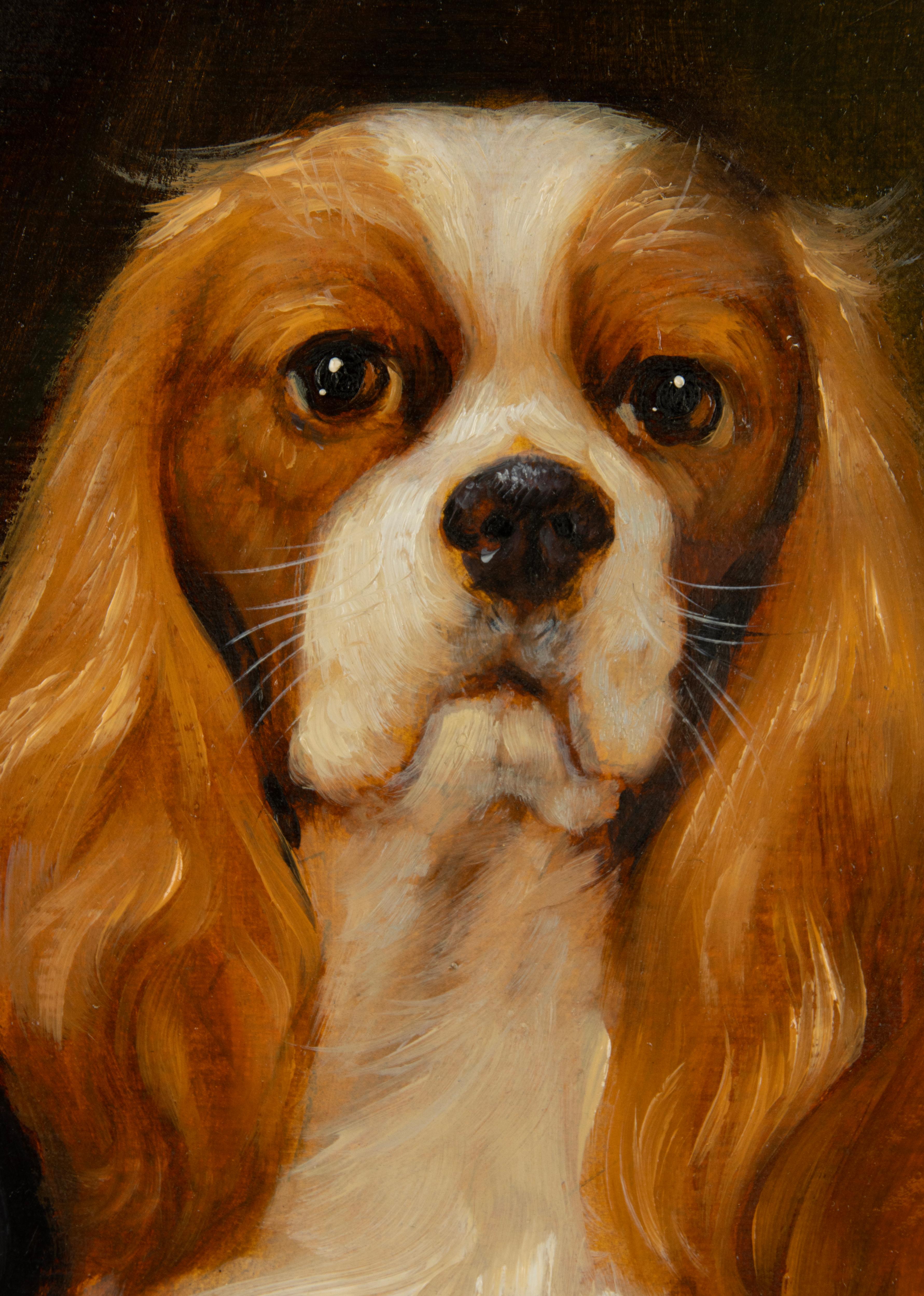 Painting - Portrait of 2 King Charles Spaniels - DETRIXHE Robert 3