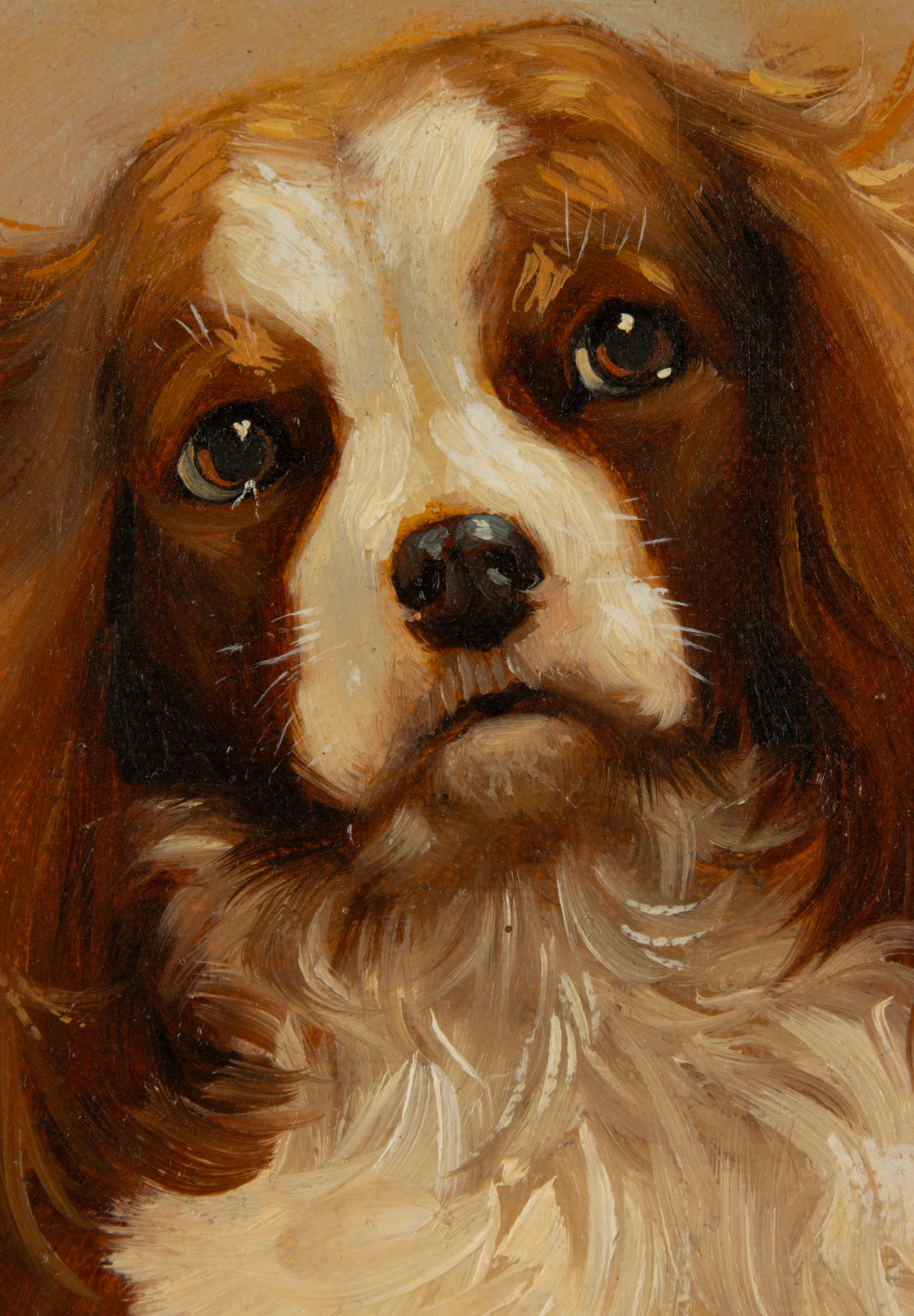 Painting - Portrait of a Cavalier King Charles Spaniel Dog - by Robert Detrixhe For Sale 6