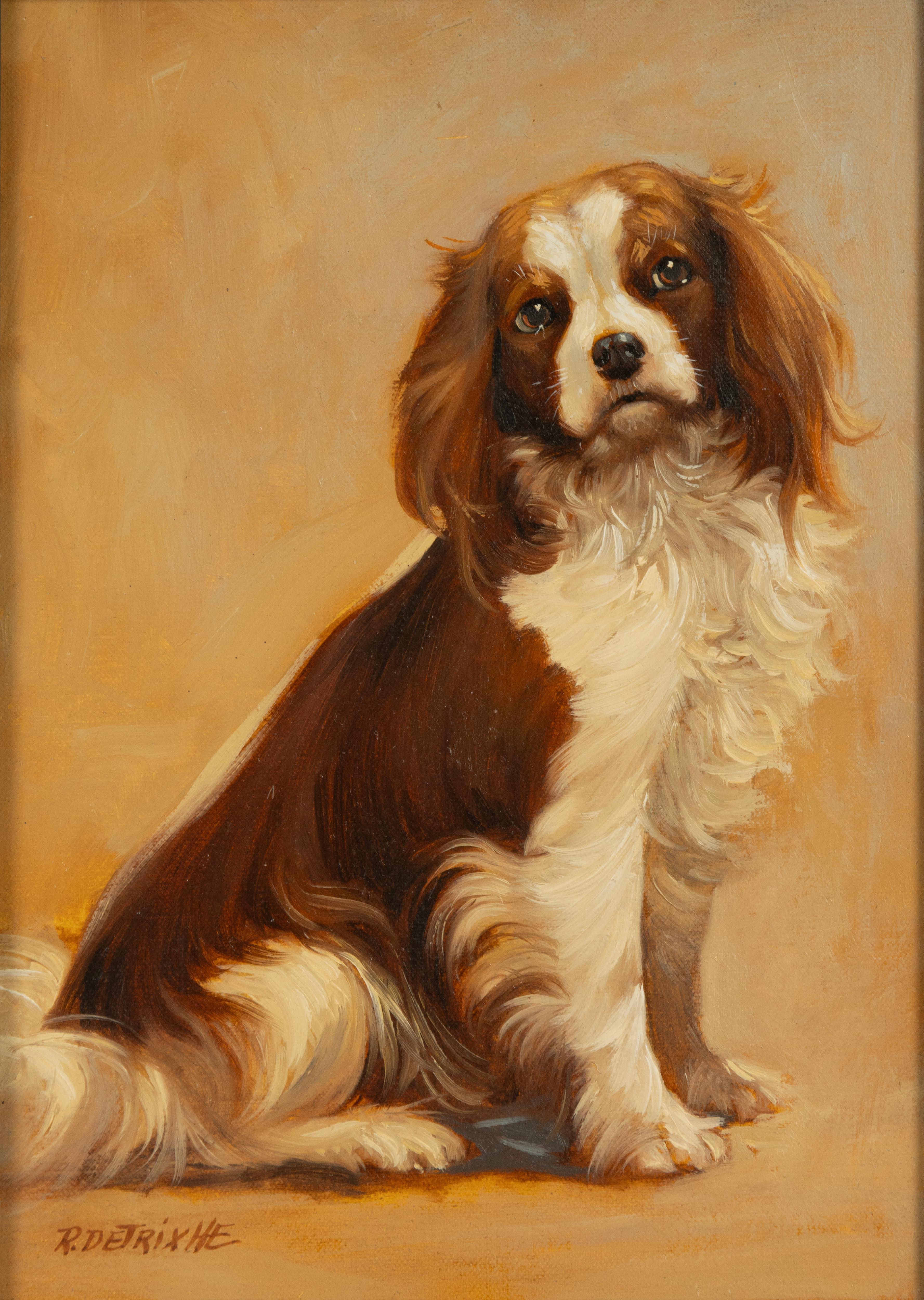 A beautiful painting, a portrait of a Cavalier King Charles Spaniel dog.
The painting was made by the Belgian artist Robert Detrixhe. The painter was born in 1935 and was particularly active at the end of the 20th century. He mainly painted cats and