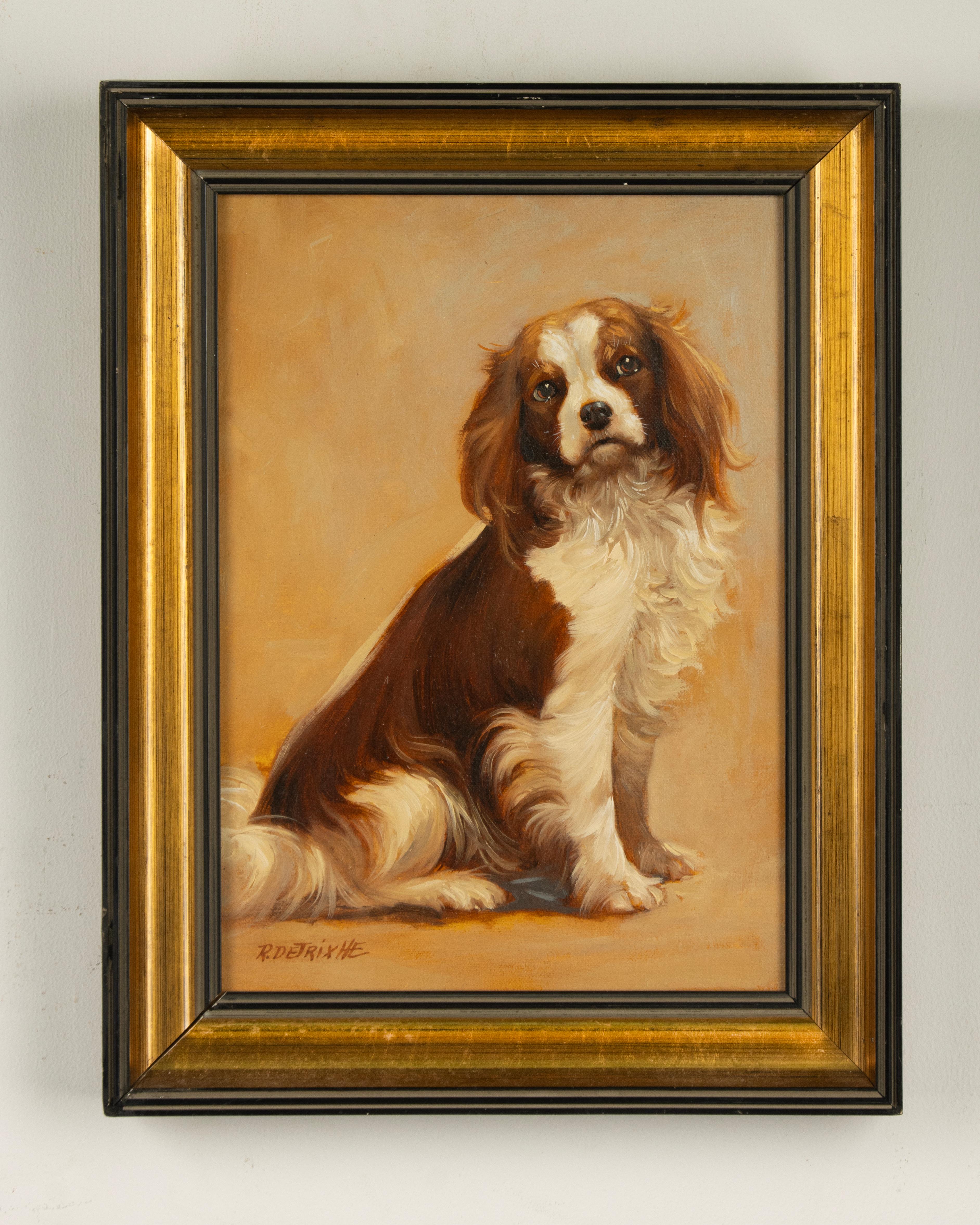 Modern Painting - Portrait of a Cavalier King Charles Spaniel Dog - by Robert Detrixhe For Sale