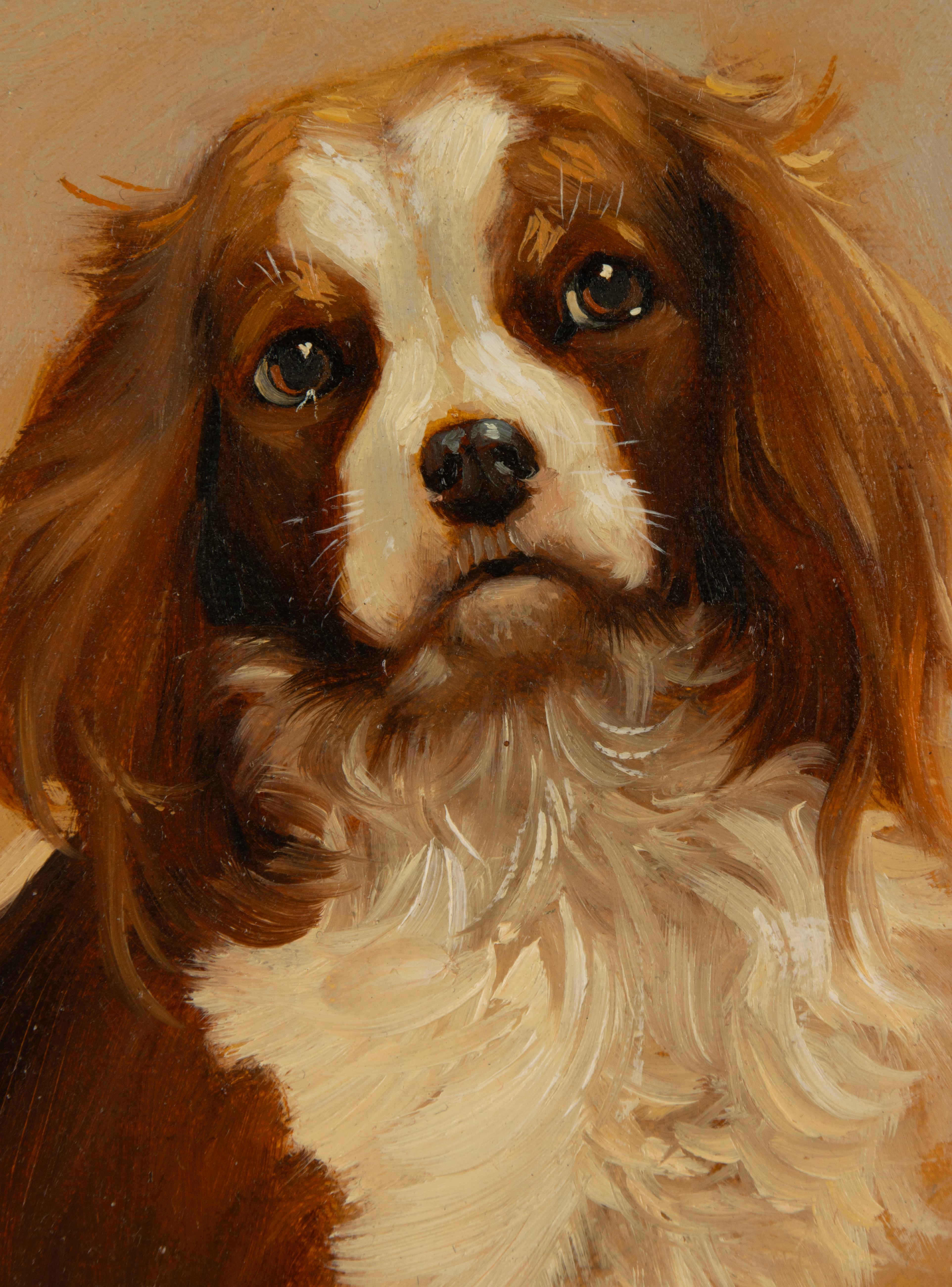 Belgian Painting - Portrait of a Cavalier King Charles Spaniel Dog - by Robert Detrixhe For Sale