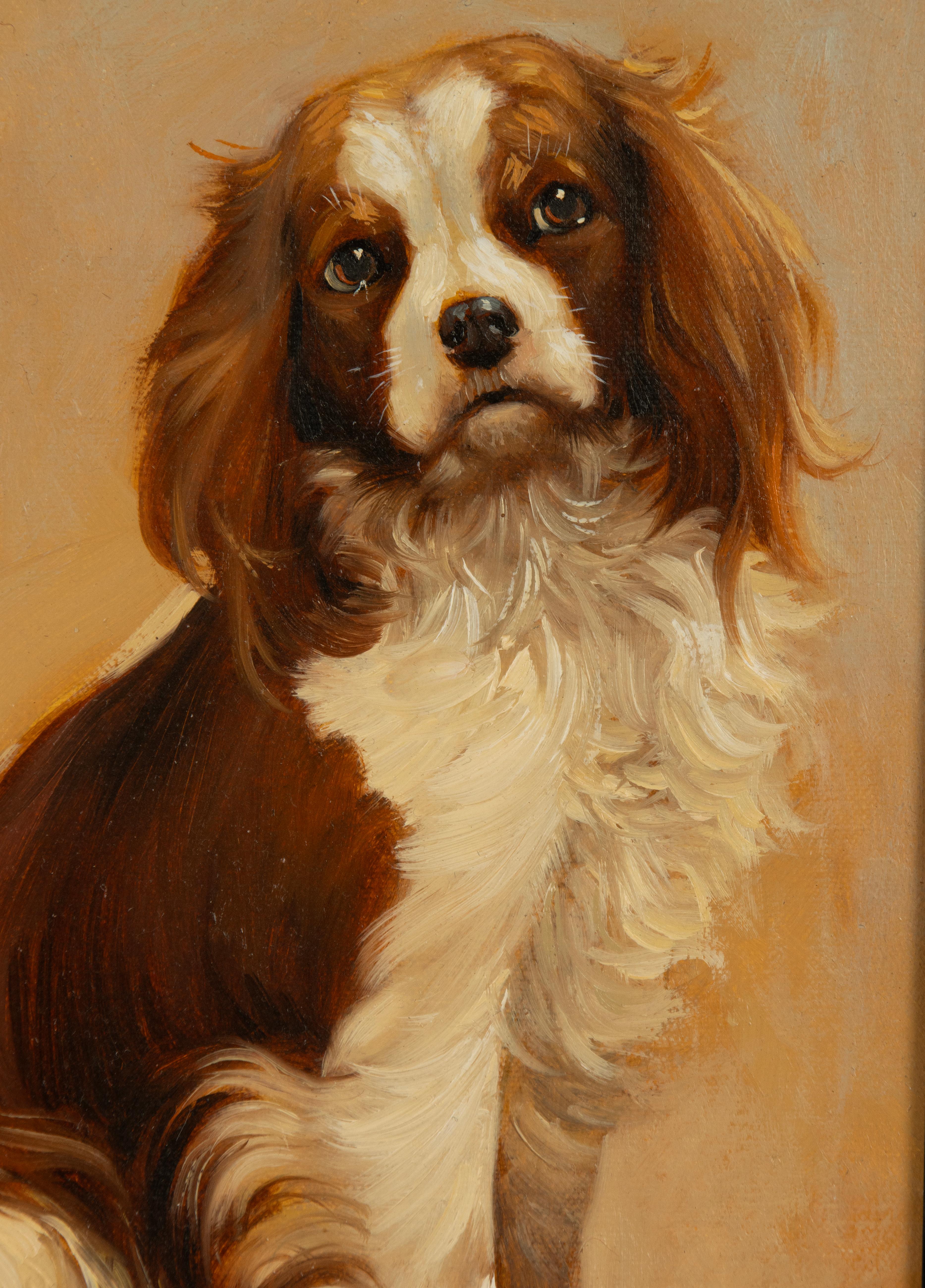 Painting - Portrait of a Cavalier King Charles Spaniel Dog - by Robert Detrixhe In Good Condition For Sale In Casteren, Noord-Brabant