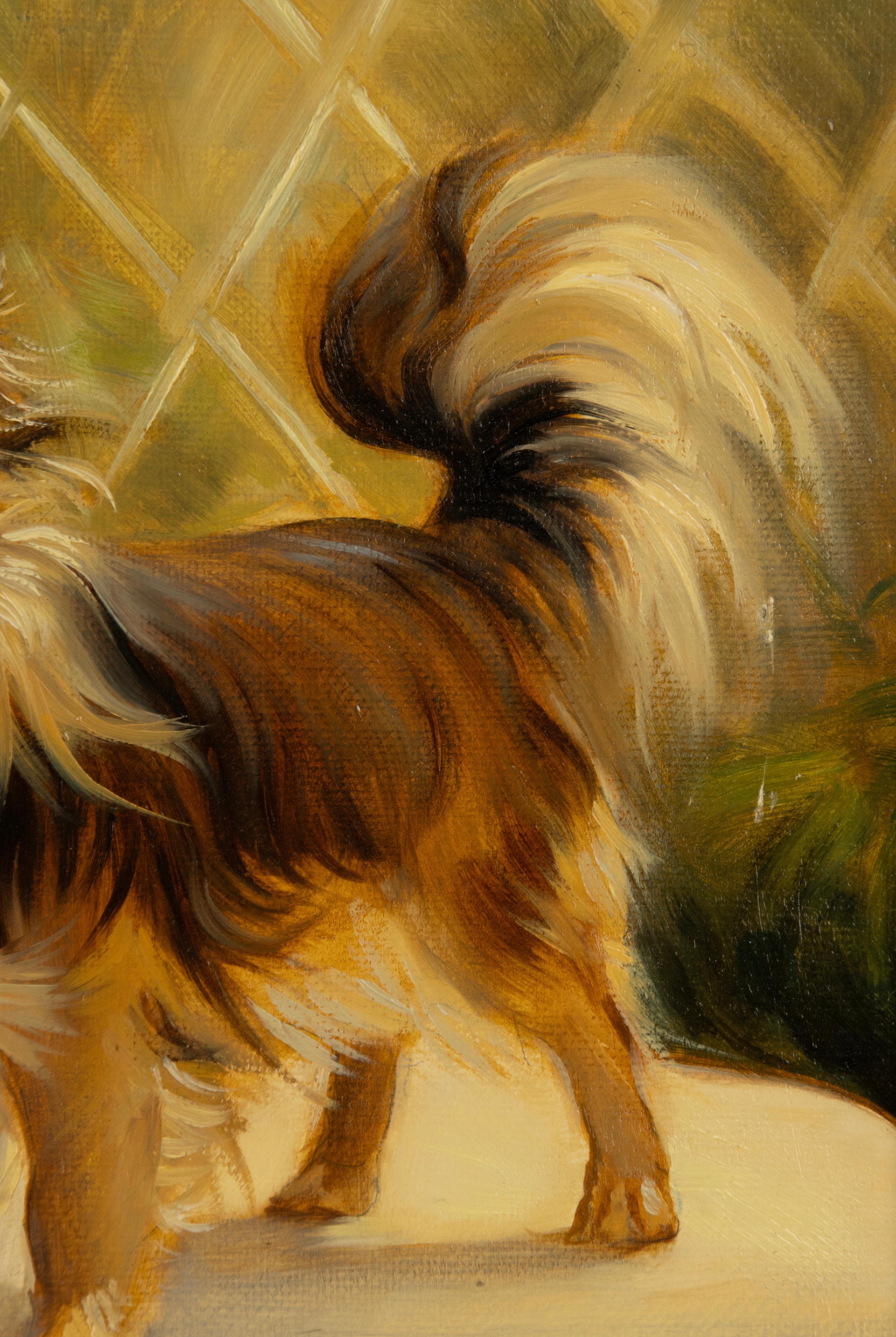 Pittura - Ritratto di un cane chihuahua - Di Robert Detrixhe in vendita 4