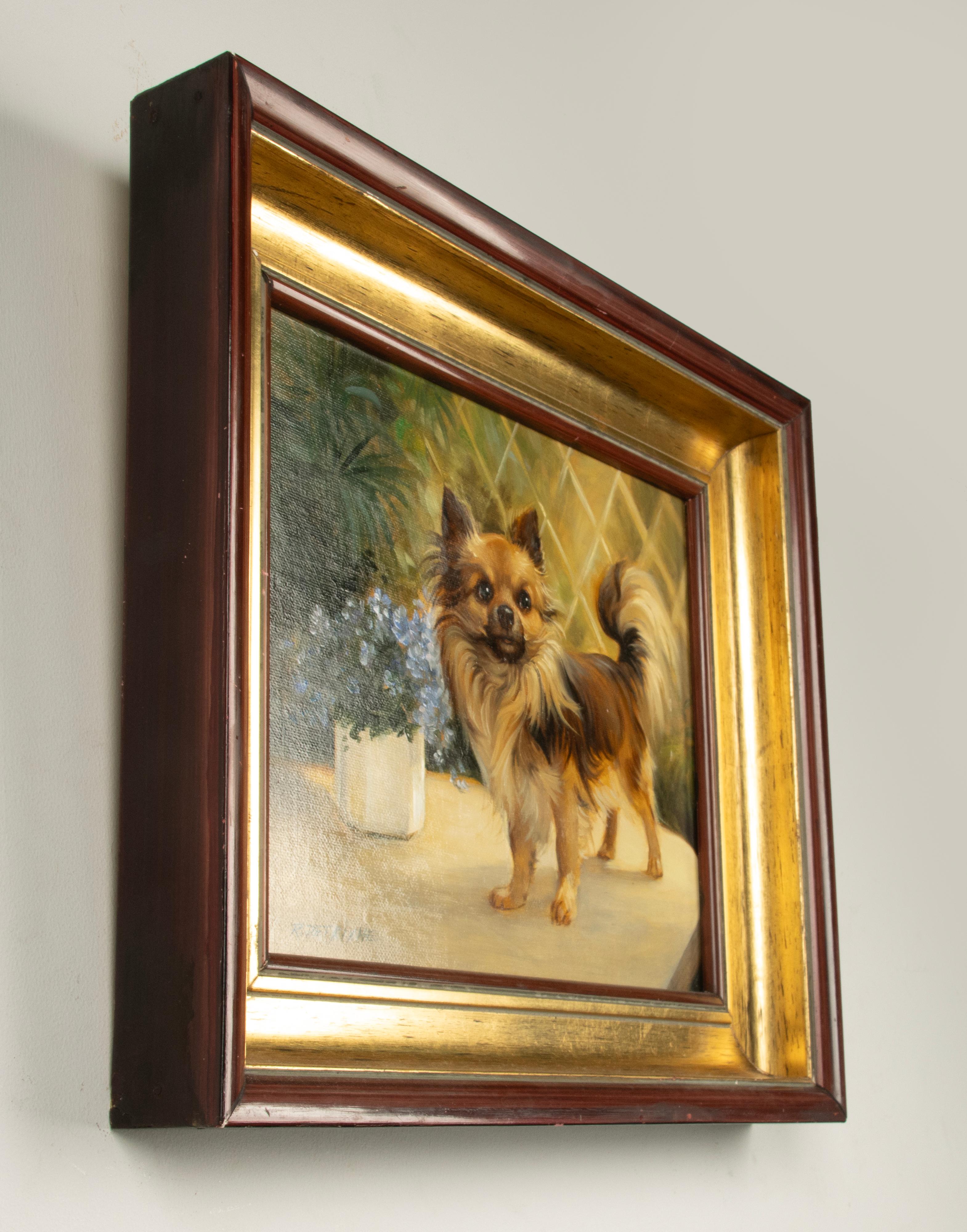Pittura - Ritratto di un cane chihuahua - Di Robert Detrixhe in vendita 7