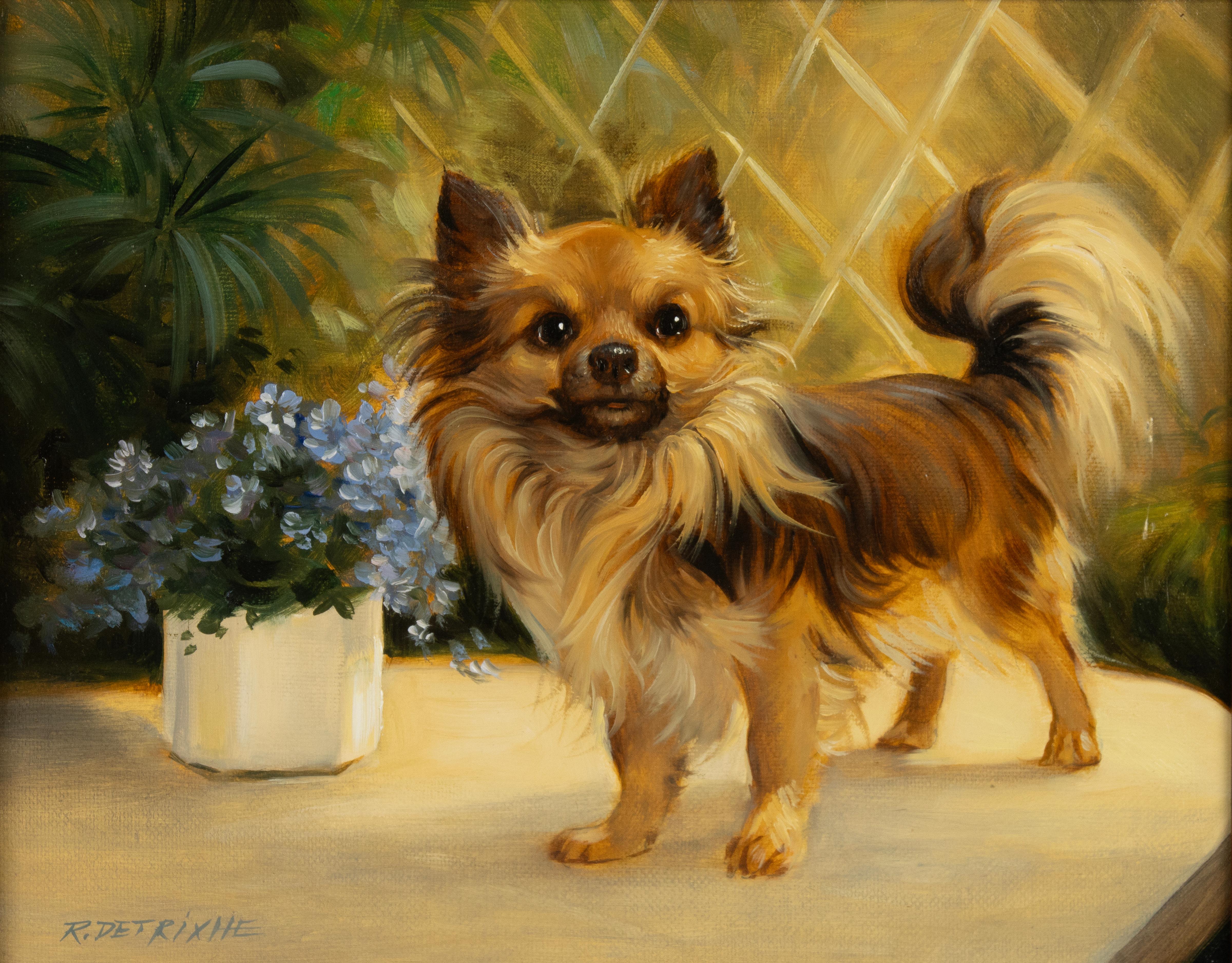 Un bellissimo quadro, un ritratto di un cane Chihuahua.
Il dipinto è stato realizzato dall'artista belga Robert Detrixhe. Il pittore è nato nel 1935 ed è stato particolarmente attivo alla fine del XX secolo. An He dipingeva principalmente cani e
