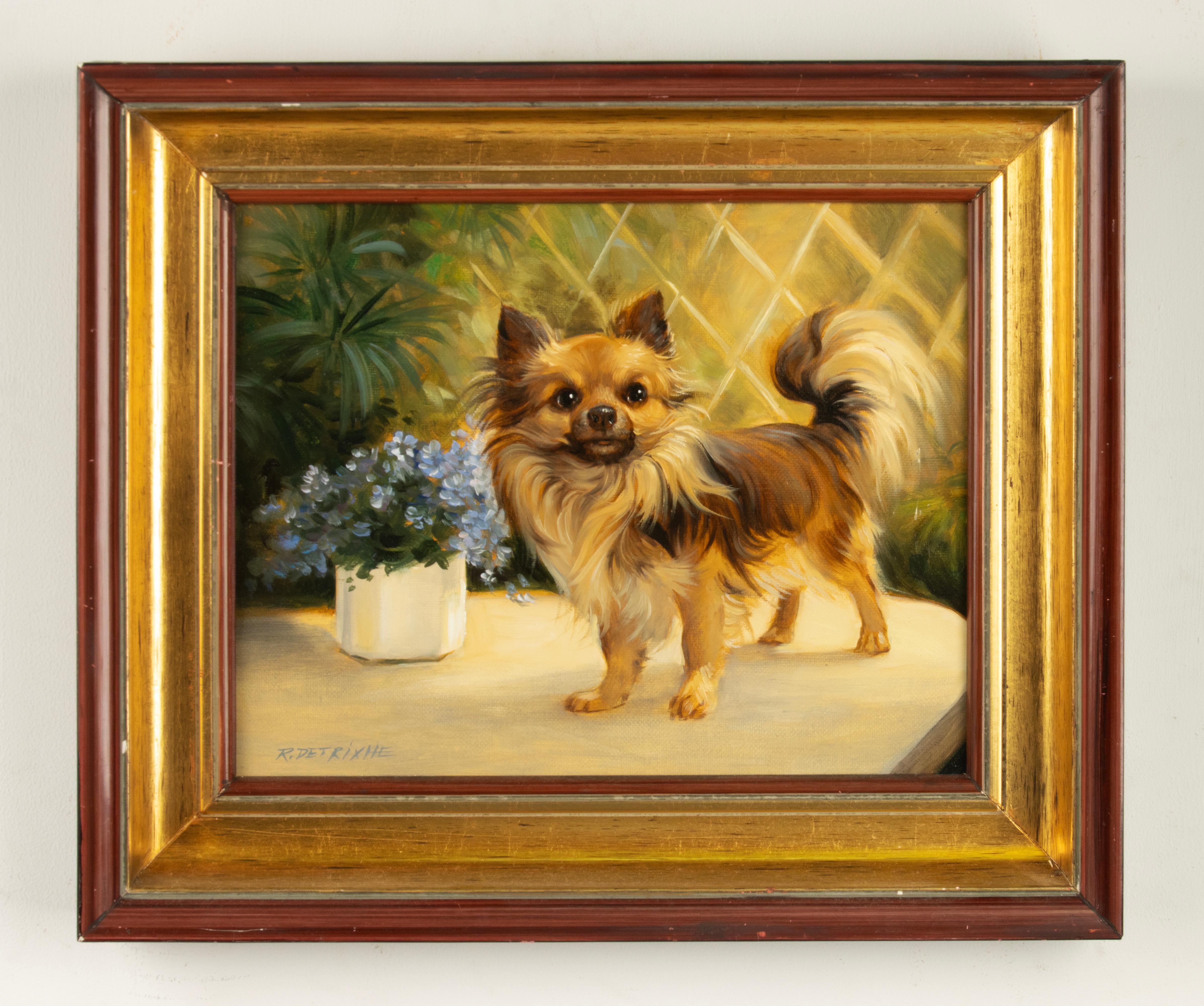 Moderno Pittura - Ritratto di un cane chihuahua - Di Robert Detrixhe in vendita