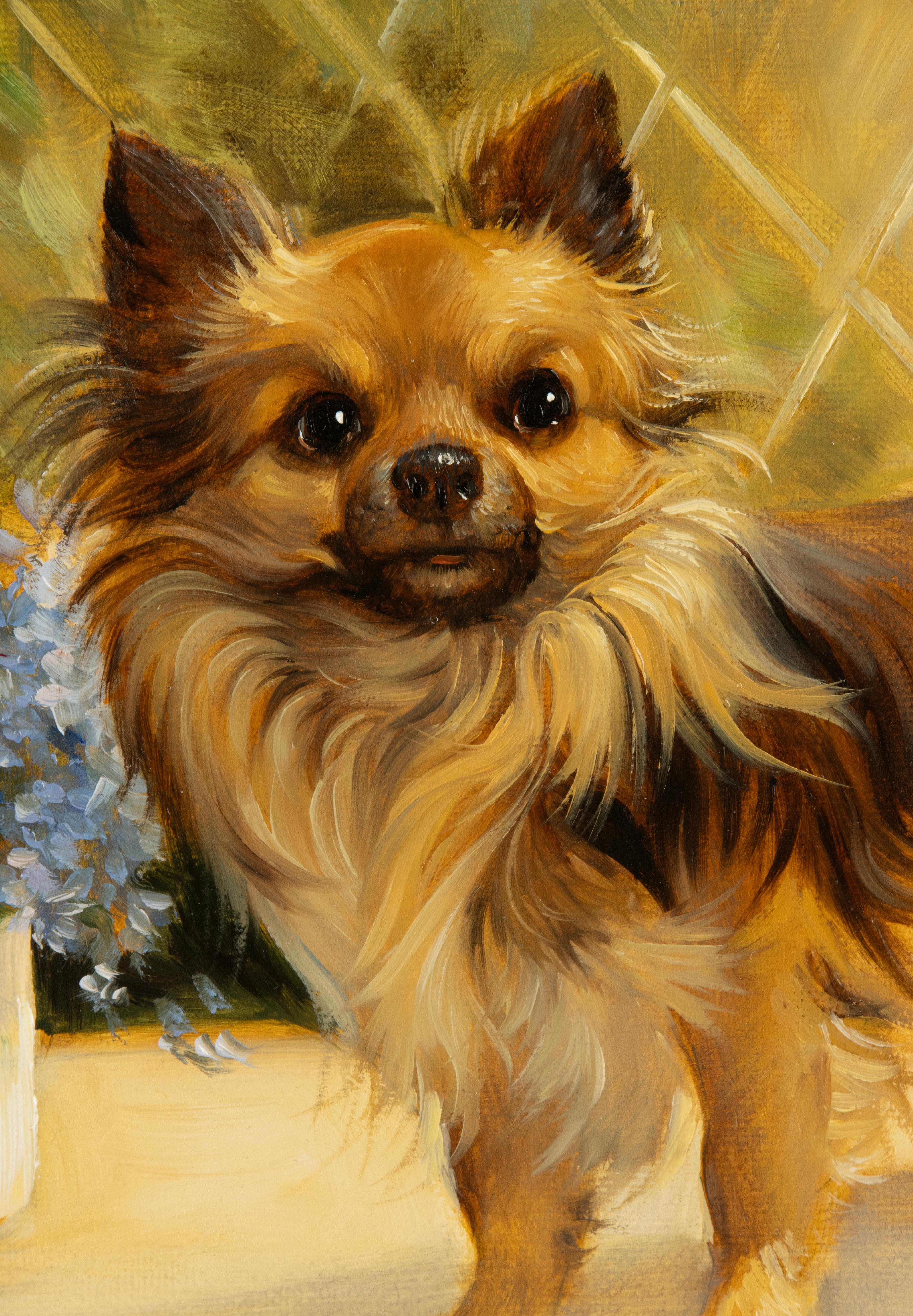 Dipinto a mano Pittura - Ritratto di un cane chihuahua - Di Robert Detrixhe in vendita