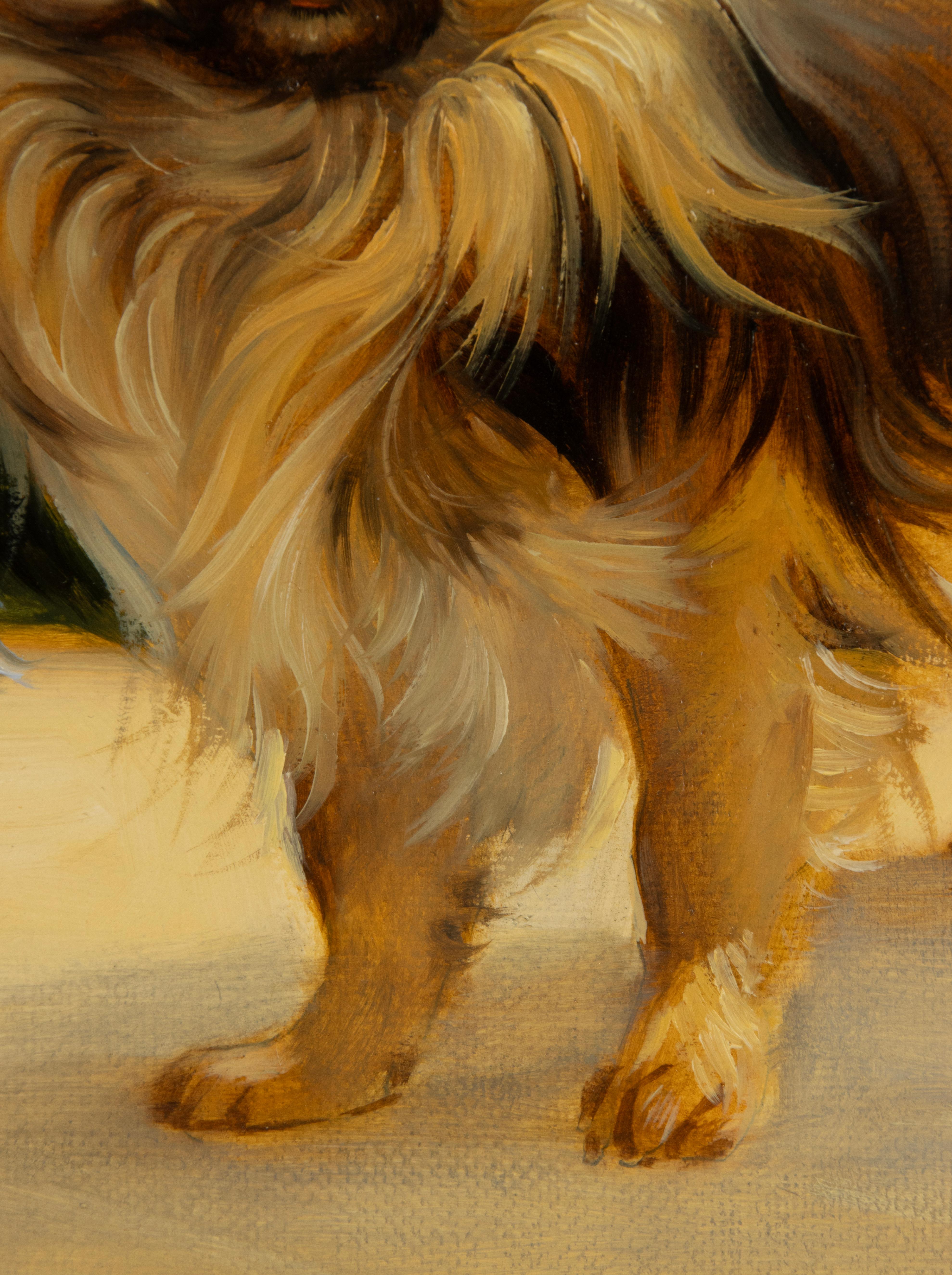 Pittura - Ritratto di un cane chihuahua - Di Robert Detrixhe in vendita 1