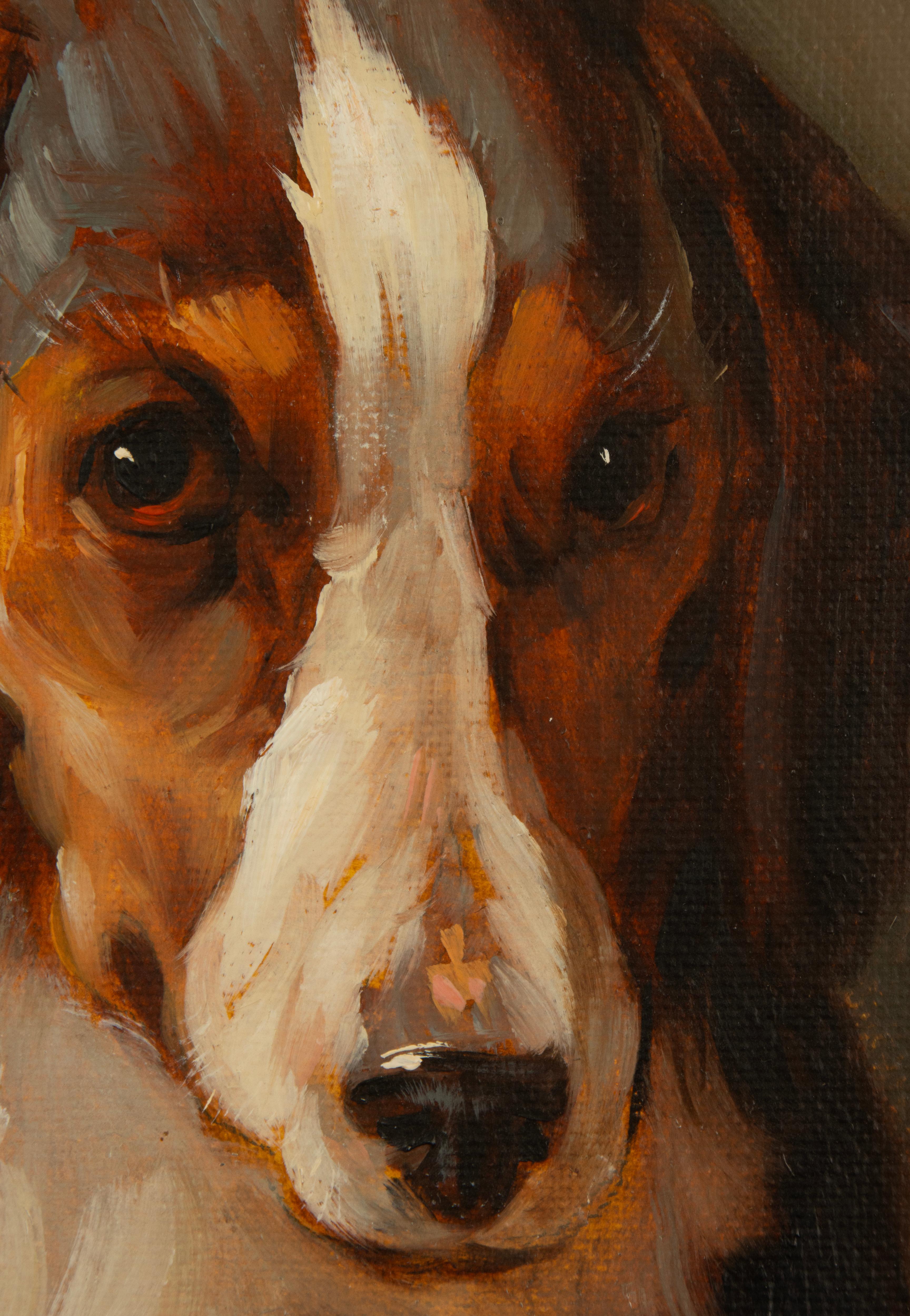 Painting - Portrait of a Collie Dog - by Robert Detrixhe For Sale 1