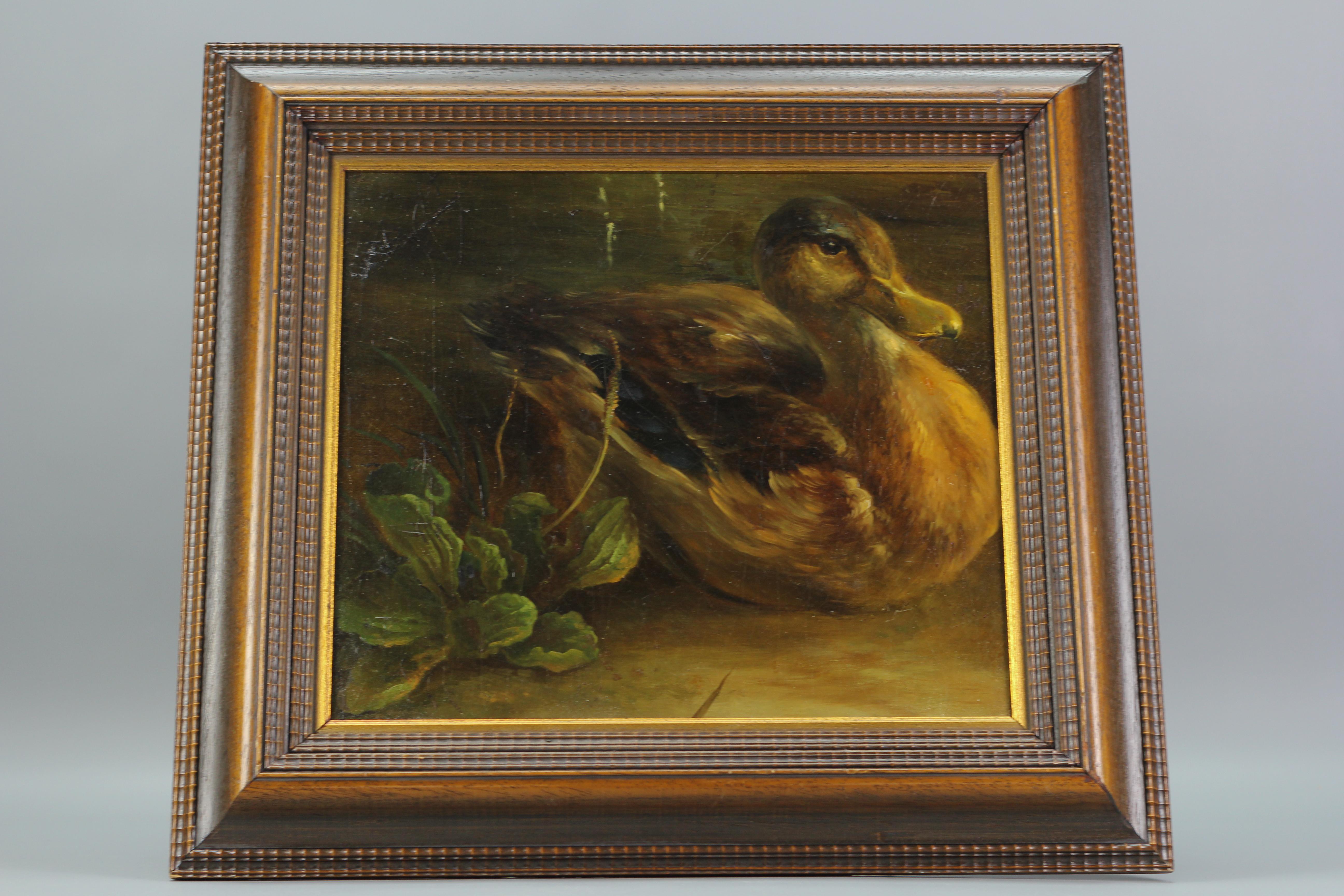 Peinture représentant un canard et des plantes, huile sur contreplaqué en vente 8