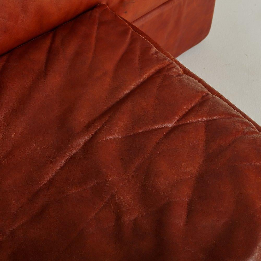 Paione Sofa in Cognac Leather by Claudio Salocchi for Sormani, Italy, 1968 3