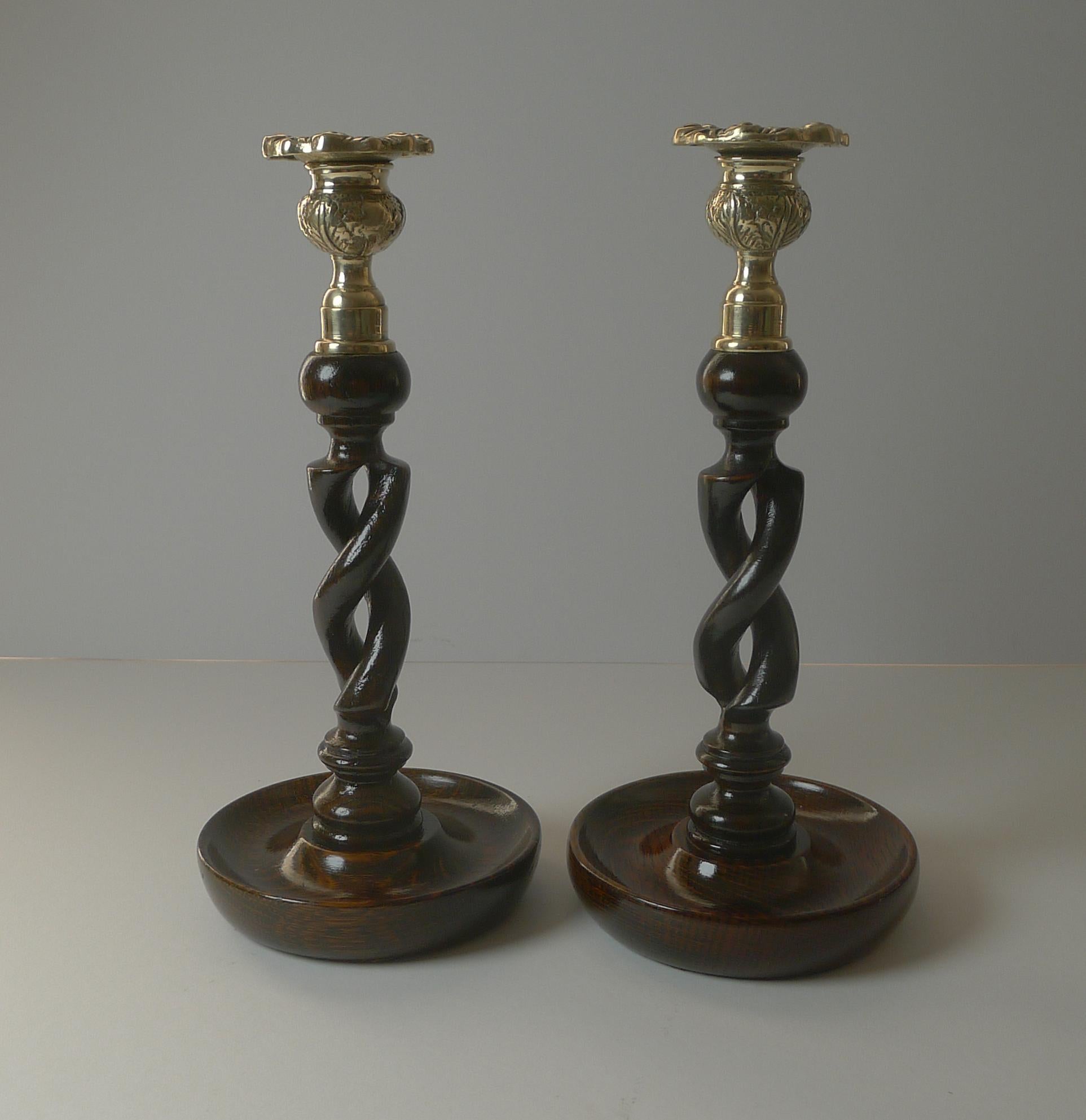 A wonderful pair of wooden candlesticks, always a winning combination, polished Oak and brass.

Not to be confused with a simple pair of twists, these are the highly sought-after 